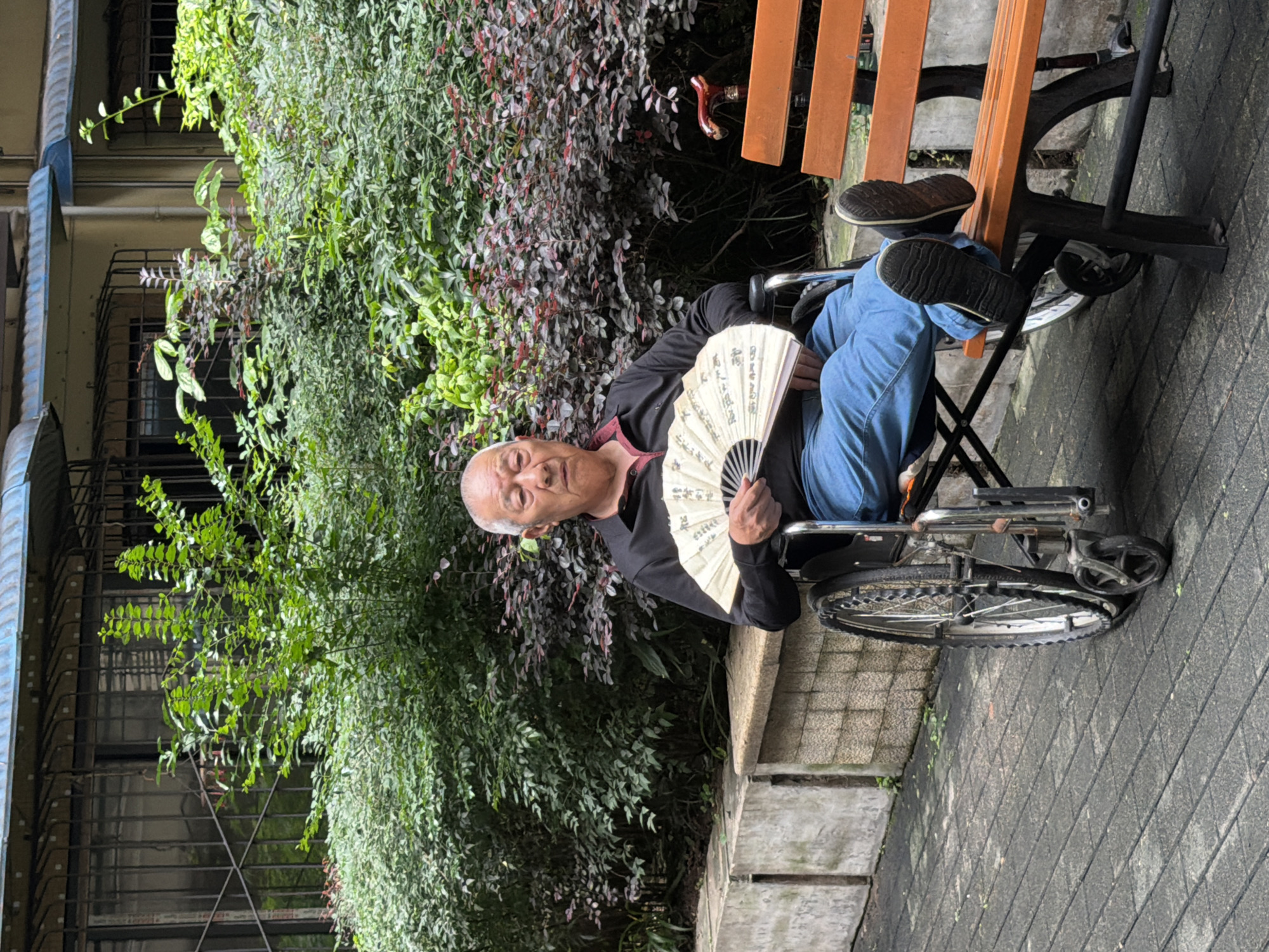 An elderly Asian man is seated in a wheelchair, holding a closed fan in his right hand, in front of a dense cluster of green and reddish-purple leafy bushes. He is wearing a black collared shirt and blue jeans. His legs are crossed, with his feet resting on the footrests of the wheelchair. To the right of the wheelchair is an orange wooden bench with a dark metal frame, and on the bench, a cane with a red handle is placed upright. The scene appears to be outdoors in a paved walkway area. The background features a building with windows covered by dark metal grates, and further greenery. The lighting suggests it is daytime. The location is Yuzhong District, China.