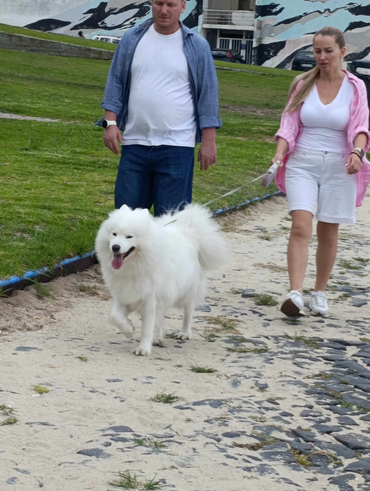 The image shows two adults and a white dog walking on a paved path with rocks and sand. The path is bordered by grass and a low wall with blue trim. In the background, there is a building with a mural on it, and some trees and grass. The people appear to be on a walk, with the woman holding a leash attached to the dog. The overall setting suggests an outdoor recreational area, potentially a park or promenade. The mural in the background appears to depict abstract shapes and possibly birds or marine life, with blues, blacks, and whites dominating the design. The ground surface is a mixture of sand, small pebbles, and larger, dark grey stones. The weather appears to be overcast or hazy.