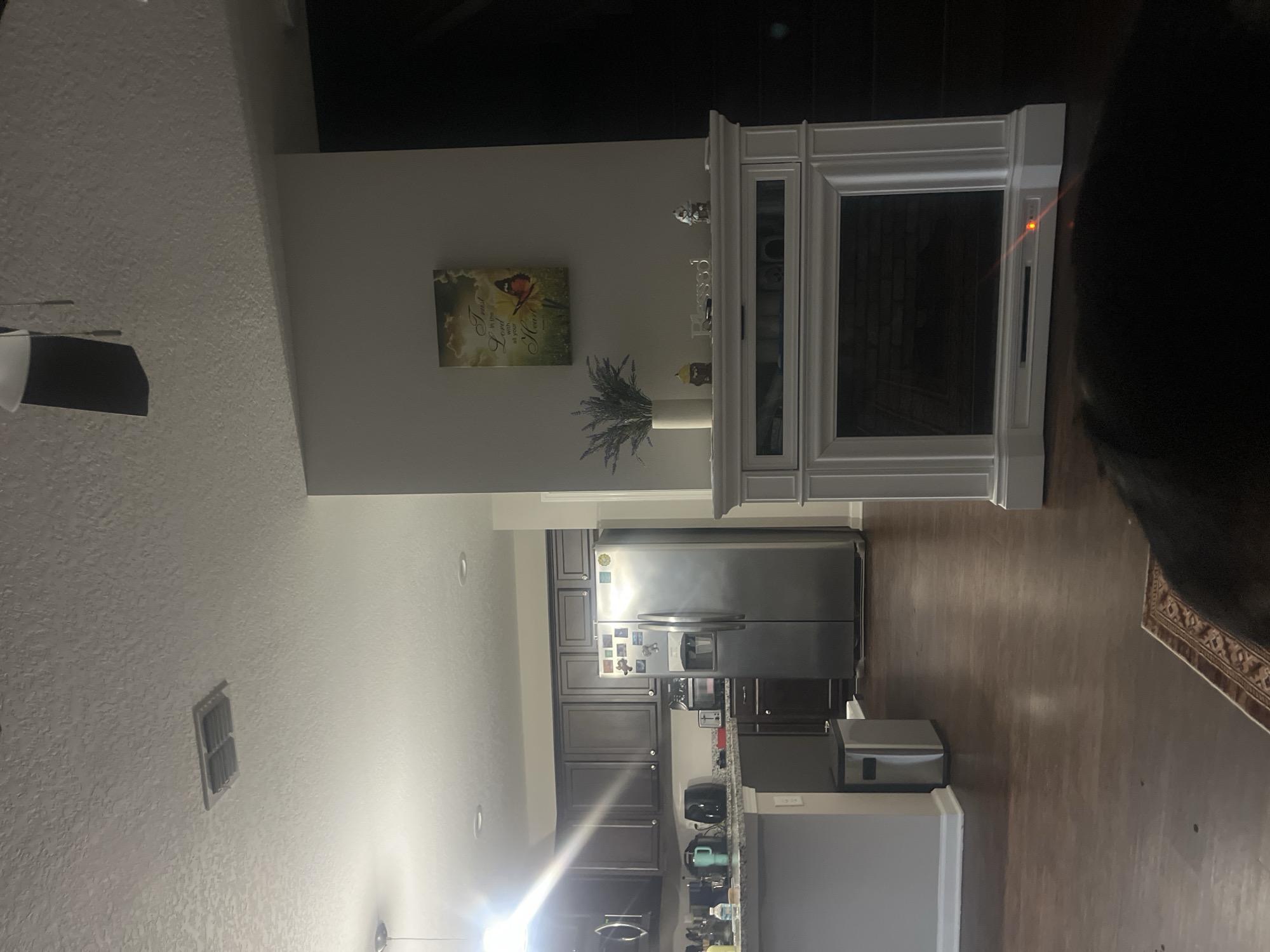 The image shows an indoor residential scene, likely a living room and kitchen area, with no specific Jacksonville, United States of America identifiers. In the foreground, a dark, out-of-focus object, possibly a pet, lies on a patterned rug. To the right, a white electric fireplace is visible with a visible orange light indicator near its base. The fireplace mantel displays a vase with lavender, two small decorative figures, and a wall art featuring a butterfly and text. The background reveals a kitchen area with dark wood cabinets, a stainless steel refrigerator, a countertop with appliances, and a trash can. A ceiling vent and part of a ceiling fan are also visible. The floor is dark hardwood.