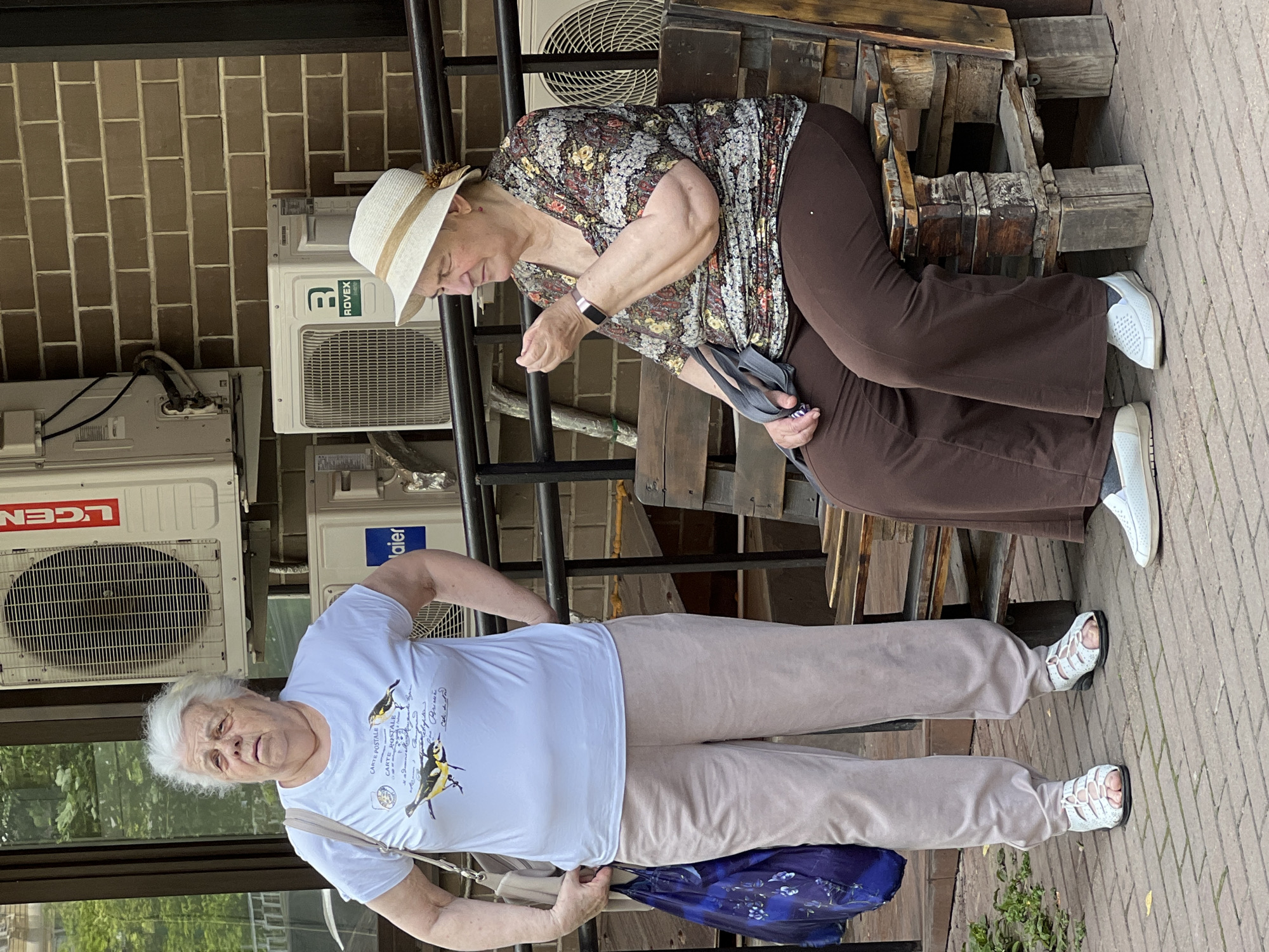 The image shows two elderly women outdoors in what appears to be Krasnodar, Russia. One woman, wearing a floral-patterned blouse, brown pants, a straw hat, and white sneakers, is sitting on a wooden bench and appears to be fiddling with something in her hands. She is holding a gray bag. Behind her, are air conditioning units. The second woman, wearing a white t-shirt with a graphic, tan pants, and white sandals, is standing. She is holding a blue patterned bag. The background includes a brick wall and brick paved ground.