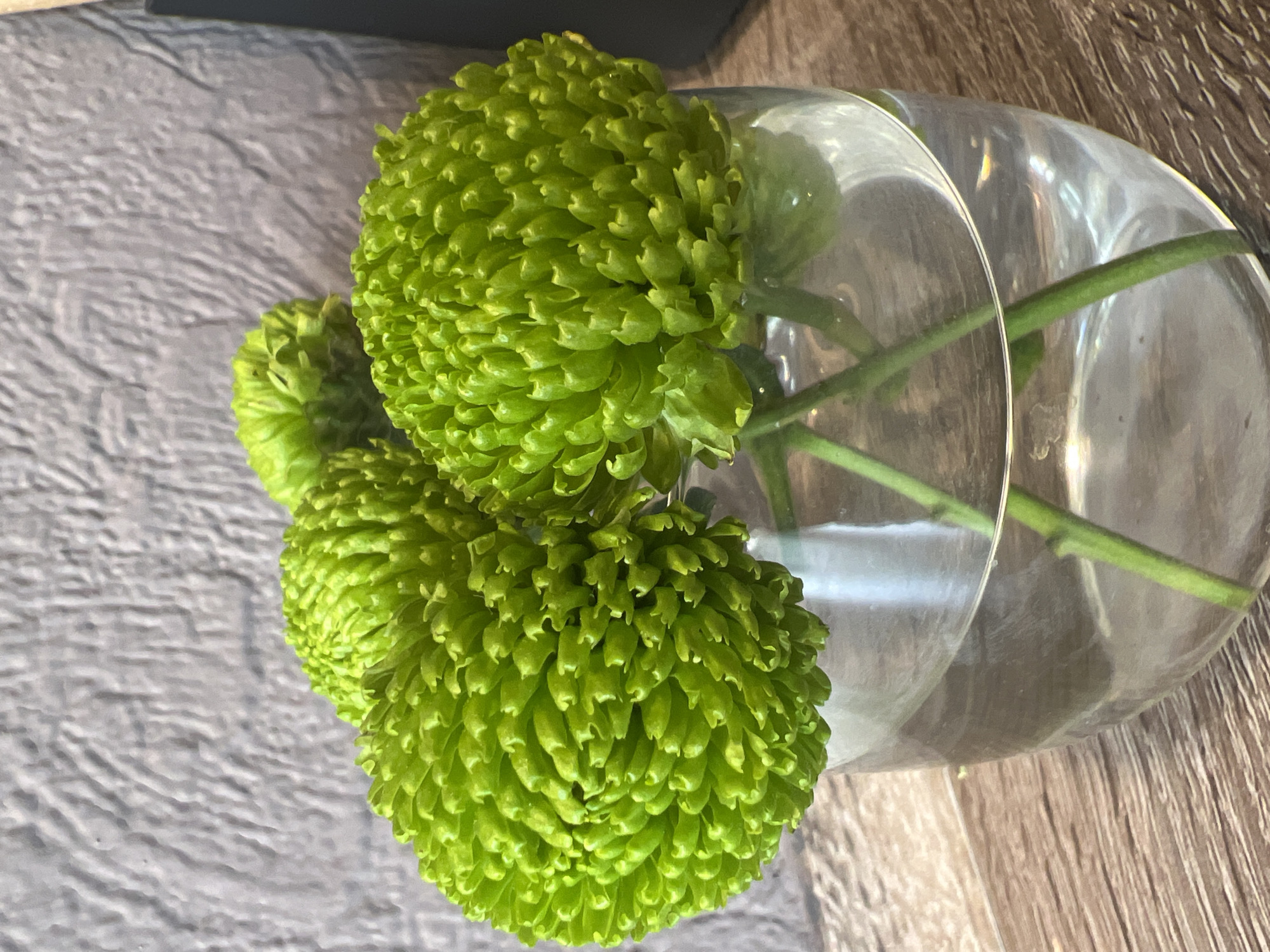 A high-angle close-up depicts three green pompom chrysanthemums in a clear glass vase, positioned on a wooden surface with a grey patterned textile nearby. The stems of the flowers are submerged in the water within the vase. The specific location, Chaikovsky, Russia, cannot be confirmed from the visual information provided.