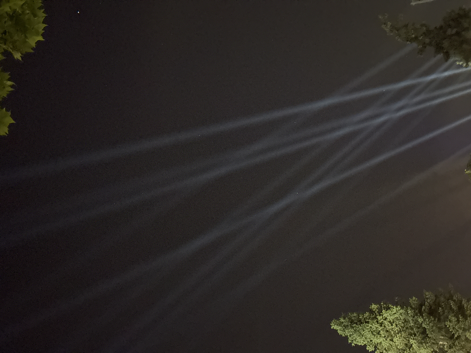 This is a night photograph of a dark sky with multiple white light beams radiating upwards from below the frame, suggesting they are from spotlights. The beams are wide and diffused, creating a dramatic effect against the dark background. In the lower left corner, the top of a green, conical evergreen tree is visible. In the lower right corner, another tree with dense foliage is partially visible. At the very top edge of the image, some green leaves, possibly from a deciduous tree, are seen. The image has a grainy texture, common in night photography. The location is identified as Sofia, Bulgaria, though no specific landmarks are visible to confirm this. The overall impression is one of an outdoor event or display using powerful lighting.