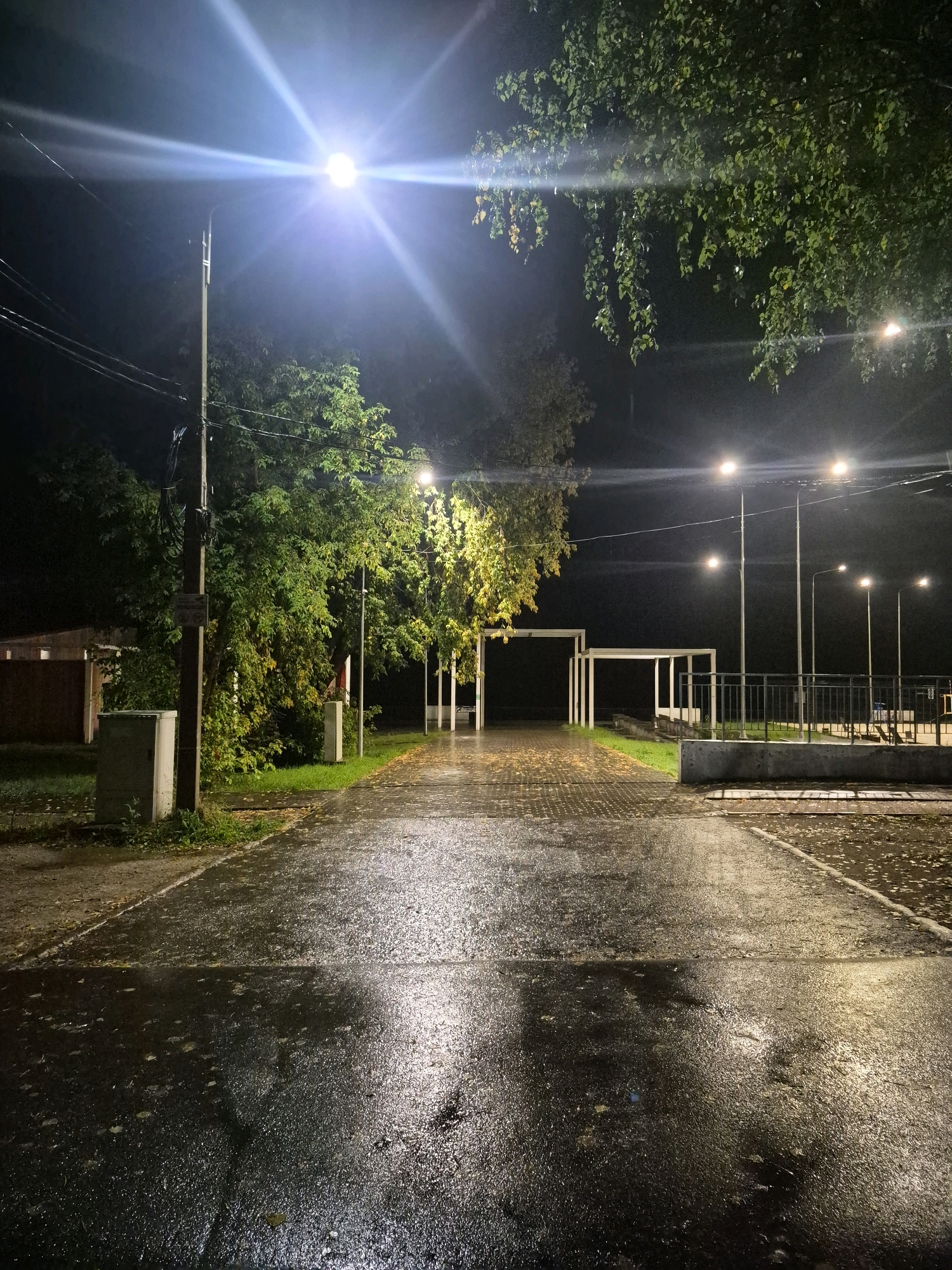 The image depicts a wet, paved pathway at night in Chaikovsky, Russia, illuminated by streetlights. The pathway is lined with trees on either side, with some foliage illuminated by the artificial light, casting reflections on the wet surface. In the background, there are several modern white structures, possibly shelters or gazebos, and a metal railing. The ground is covered in fallen leaves, which are also visible on the wet pavement. The overall scene suggests an outdoor public space that has recently experienced rain. There are no people visible in the image.