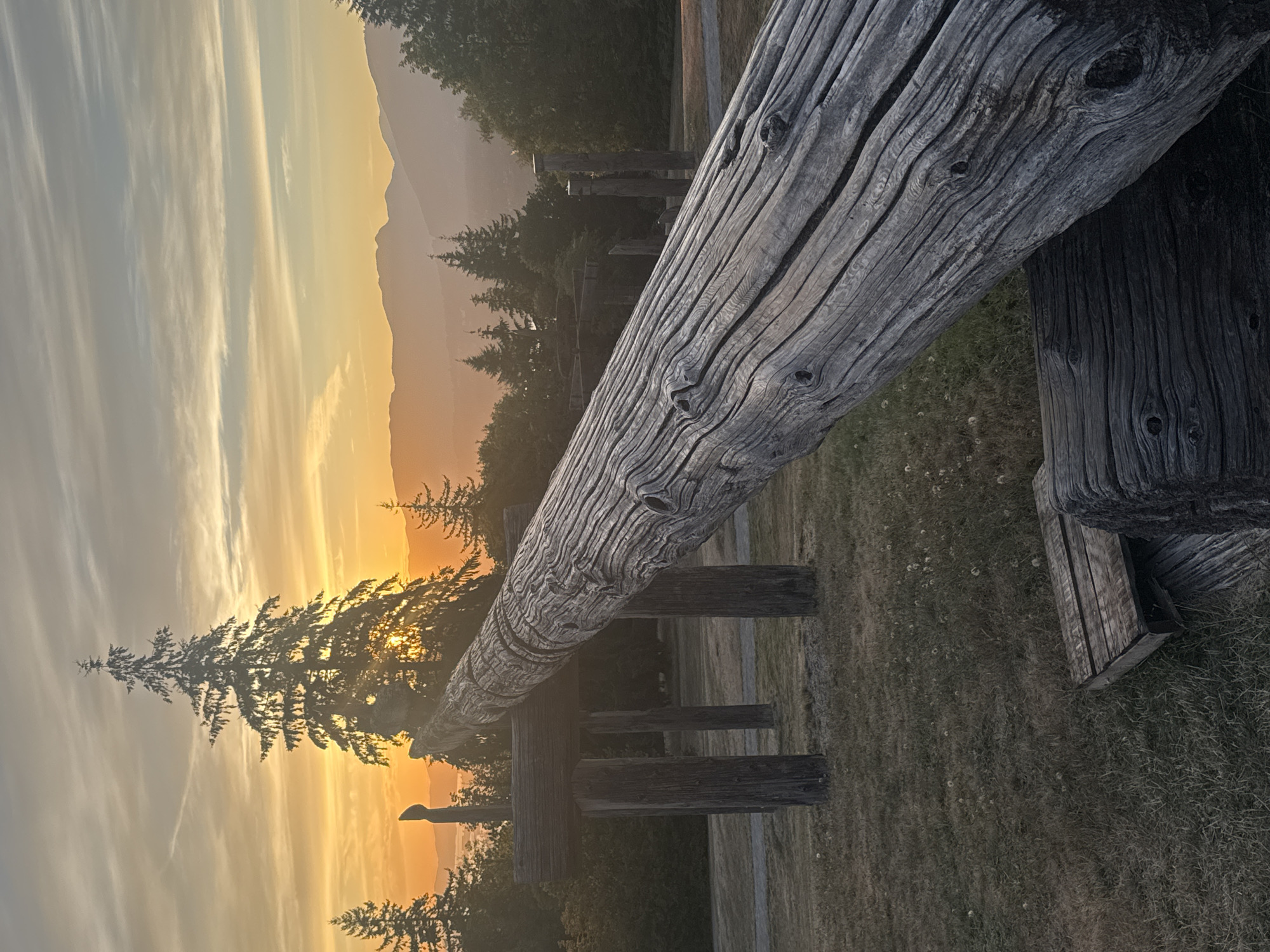 A long, weathered wooden log is positioned diagonally in the foreground of this image, its rough, textured surface and knotty details clearly visible. The log rests on other wooden structures and the dry, grassy ground. In the mid-ground, several weathered wooden posts support another horizontal beam, suggesting a historical or artistic installation. Behind this, a line of evergreen trees stretches across the landscape, silhouetted against a vibrant sunset. The sky is a gradient of warm oranges and yellows, with wispy clouds streaking across the horizon. In the far distance, rolling hills are faintly visible, shrouded in a soft haze. The scene appears to be an outdoor park or historical site. This image was captured at the Spirit Square in the City of Burnaby, Canada.