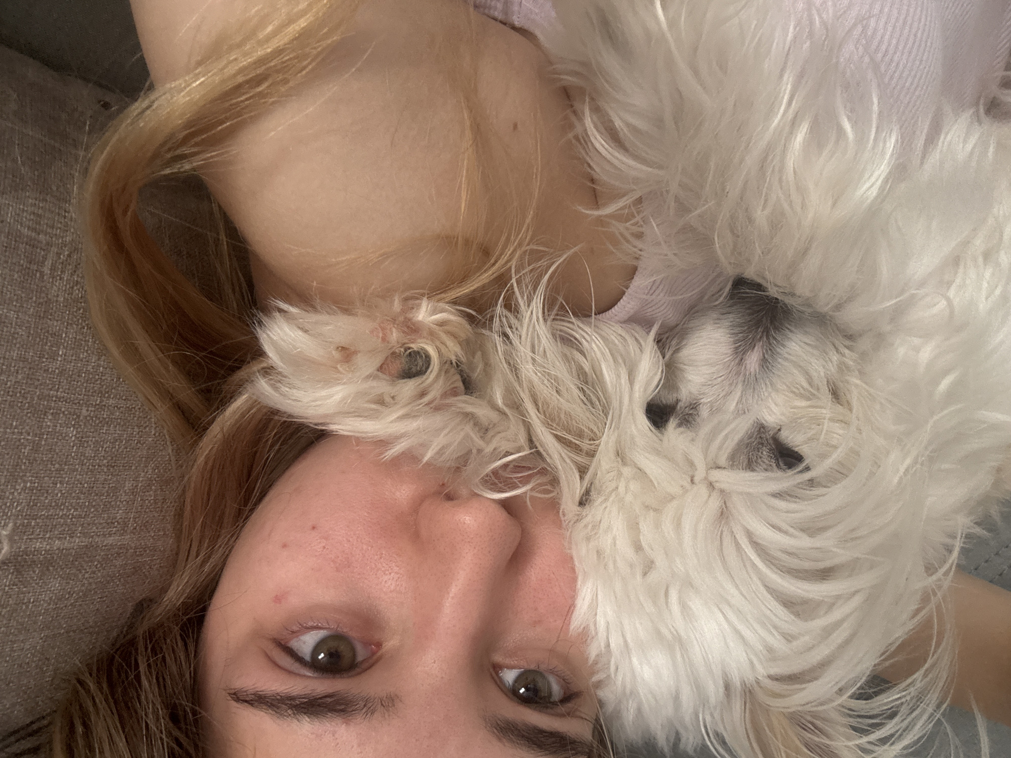 In this close-up, high-angle selfie, a young person with light brown hair and green eyes rests their head on a textured grey surface, likely a sofa. They are embracing a small, fluffy white dog, whose fur obscures much of the person's face and neck. The dog's head is positioned near the person's cheek, with one of its paws resting on the person's shoulder. The person is wearing a light purple garment. The lighting is soft, and the background is out of focus, emphasizing the subjects. There are no discernible landmarks or contextual clues to indicate a specific location within the city of Noviy, Russia.