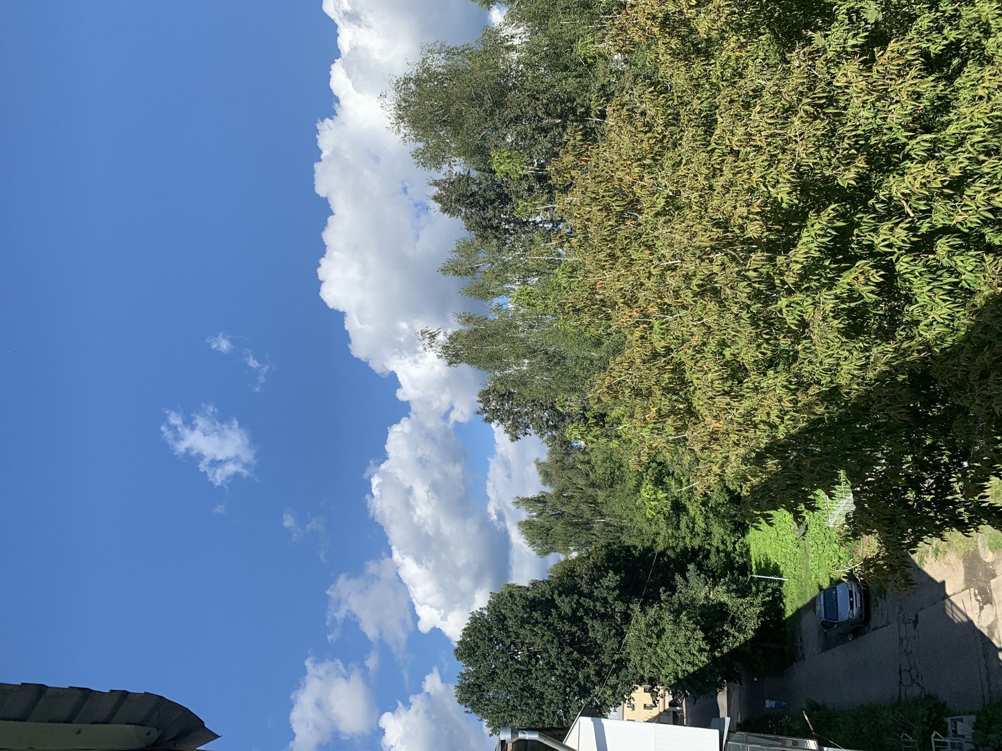 This is an outdoor, high-angle, daytime photograph taken in the city of Asha, Russia, looking towards a dense line of green trees under a bright blue sky dotted with fluffy white clouds. In the foreground, the edge of a weathered, grey, corrugated metal roof extends from the upper left corner of the frame. Below the roof, on the left side of the image, is the side of a white building with visible window frames. A narrow, paved pathway or road runs from the bottom left of the image, curving towards the center. A silver-colored car is parked on this pathway. A person in a striped shirt is walking away from the camera on the pathway. The pathway is bordered by lush green grass and more trees. The dense foliage of the trees dominates the mid-ground and extends into the background, with a variety of tree species visible. The overall impression is of a residential area with significant green space.
