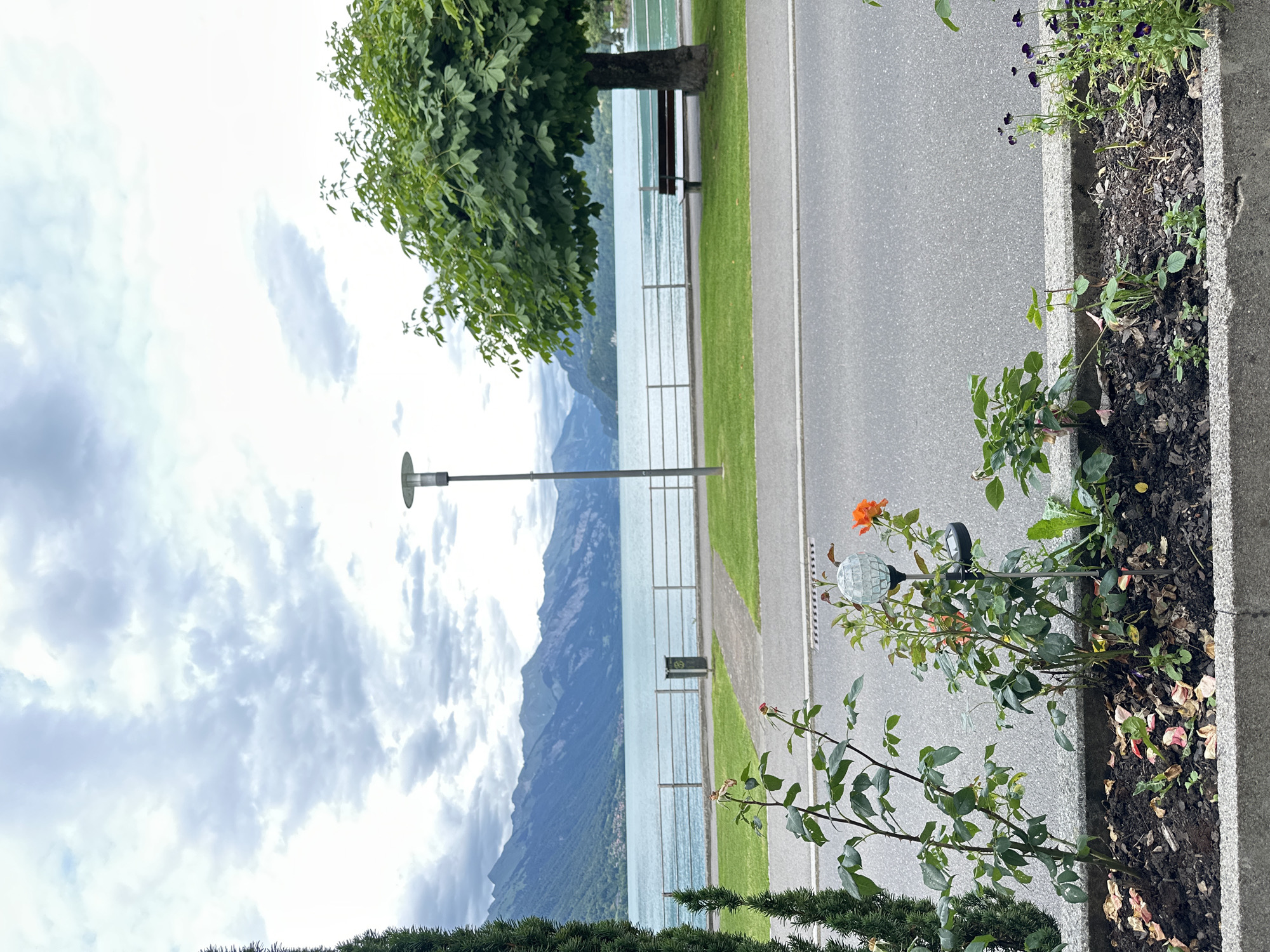 The image shows a scenic view of Lake Brienz in Bönigen, Switzerland, on a cloudy day. In the foreground, there is a concrete planter box with rose bushes and other small plants, some with fallen petals. A solar-powered garden light with a decorative glass globe stands among the plants. A paved road runs alongside the planter box.
Beyond the road and planter, a grassy area leads to a metal railing that separates the land from the lake. A trash can is visible near the railing. Across the calm, blue-green water of the lake, a range of imposing, tree-covered mountains stretches into the distance. The sky is overcast with dramatic, grey clouds. To the right, a mature tree with lush green foliage stands beside the lake, and a wooden park bench is situated beneath it. A modern lamppost is also present near the bench. A tall, narrow evergreen tree is positioned on the far left edge of the frame, partially obscuring the view of the lake and mountains.