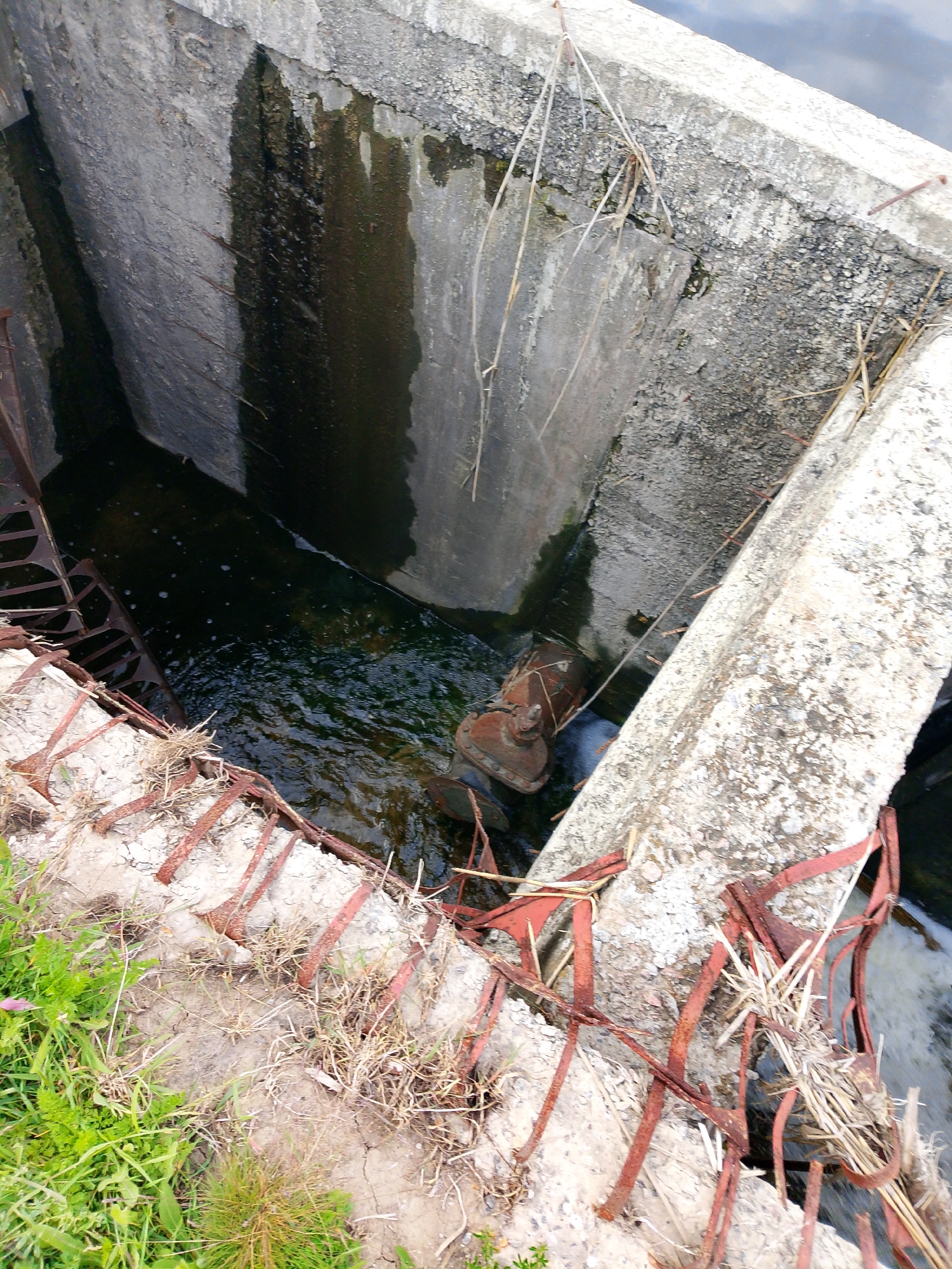The image captures a top-down view of an old, neglected concrete water channel or sluice gate. Concrete structures form the high walls and beams of the channel, showing significant signs of age, wear, and water staining, with dark green and brown streaks running down the surfaces.
At the bottom of the channel, dark, murky water flows with visible ripples and some white foam, indicating current. Partially submerged on the left side is a heavily rusted metal structure, possibly a set of steps or a grate, leading into the water. On the right, a large, rusted, industrial-looking metal object, which appears to be part of a valve or gate mechanism, is also partly submerged and covered in rust.
The top edges of the concrete walls are cracked and crumbling in places. Numerous pieces of heavily corroded, reddish-brown metal rebar or framing protrude from the concrete along these edges, some bent and twisted. Dry, straw-like vegetation and small green plants and grasses grow haphazardly on the concrete surfaces and along the immediate foreground, further emphasizing the state of disrepair. Some dry plant debris is caught on the rusted metal.
The scene appears to be outdoors during daylight hours, under possibly overcast conditions given the diffused light and lack of strong shadows. No people or visible text are present. The overall impression is one of abandonment and decay of man-made infrastructure being slowly reclaimed by nature.