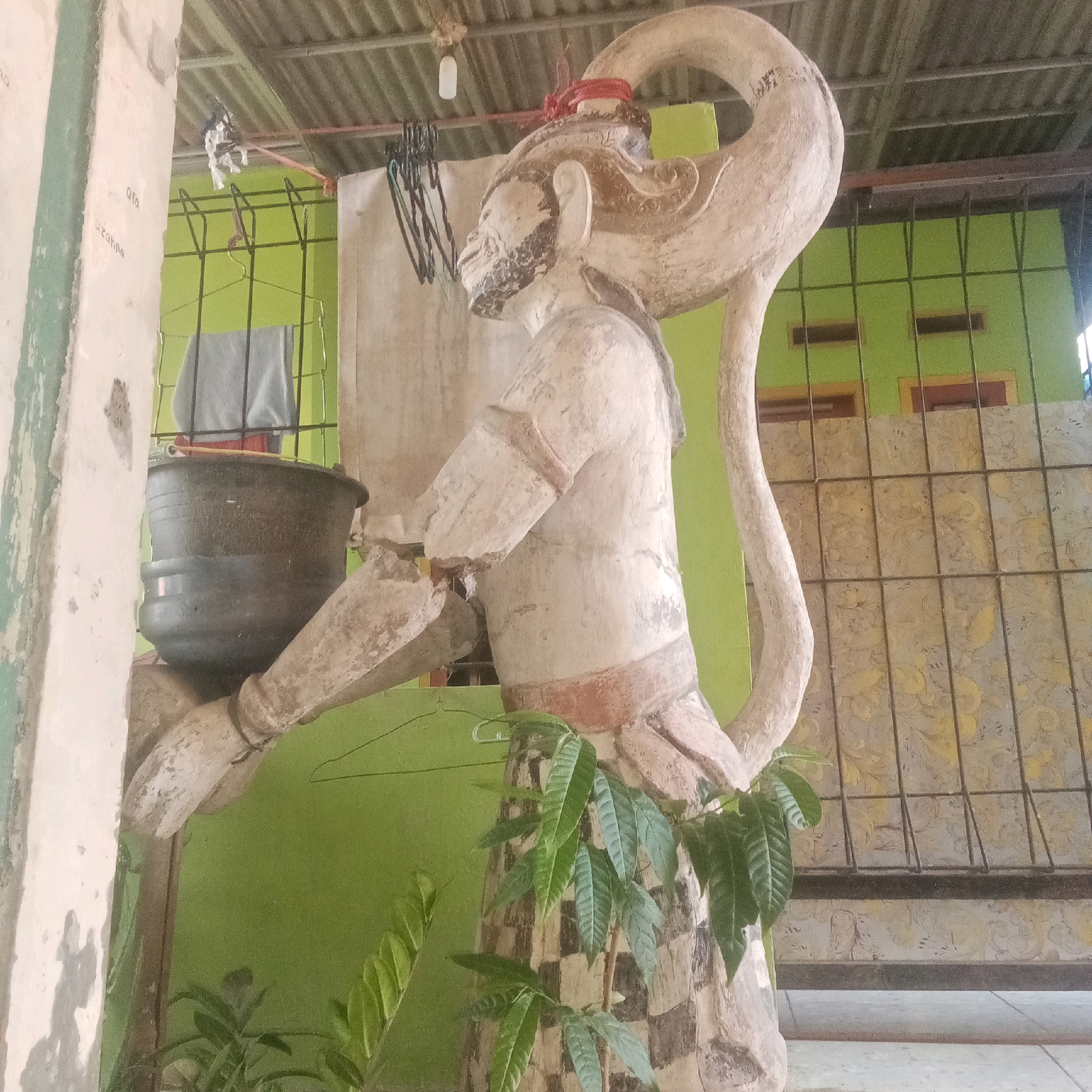 The image shows a statue of a monkey-like figure with a large, curved tail, possibly representing Hanuman from Hindu mythology. The statue is made of a light-colored material, possibly concrete or plaster, and appears weathered. It is decorated with a red band around its head and a reddish band around its waist. The lower part of the statue's body is adorned with a checkered pattern. Green foliage is growing around the base of the statue.
The statue is positioned outdoors, under a corrugated metal roof supported by beams. In the background, there is a light green wall with some windows or niches and a patterned wall behind a metal grate. To the left of the statue, a large dark pot or container is visible, with a light-colored fabric hanging behind it. Clothes hangers are also present, hanging from a wire. The overall scene suggests an outdoor area, possibly a yard or a temple complex, in a tropical or sub-tropical climate.
Given the context of Karawang, Indonesia, this scene could be situated in a local temple, shrine, or a residential area with cultural influences. The presence of the statue suggests a religious or cultural significance, possibly related to Hindu traditions prevalent in parts of Indonesia, or a local interpretation of a mythical figure. The environmental details like the foliage and roofing are consistent with the climate of the region. The specific location within Karawang is not determinable from the image alone, but it appears to be a non-urbanized or semi-urbanized setting.