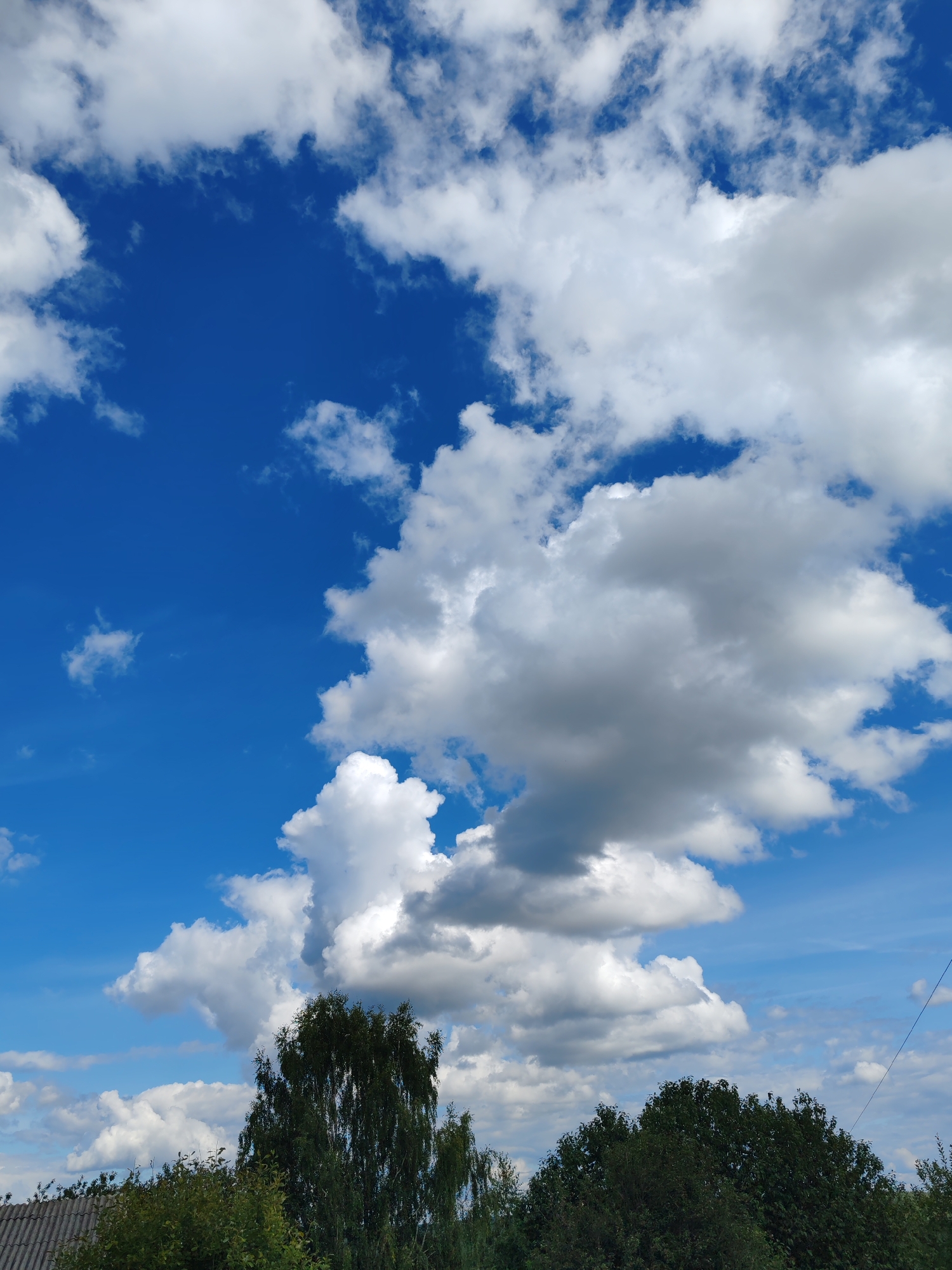 The image displays a vibrant blue sky filled with fluffy white and grey cumulus clouds. The lower portion of the image features a line of dark green trees and the grey, tiled roof of a building. A single thin black wire runs diagonally across the upper right portion of the sky. The scene appears to be an outdoor environment in Чухлэм, Russia, likely during daylight hours. No people or specific actions are visible.