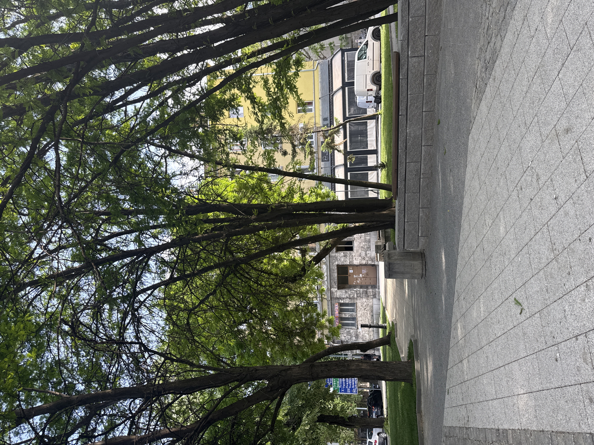 A street in Plovdiv, Bulgaria is lined with tall trees, their branches reaching across the walkway. The walkway is paved with gray stone tiles, with trees growing from the edges. Behind the trees are buildings of varying heights and colors. A white van is parked on the side of one building. In the distance, traffic and pedestrians are visible. A sign post is visible with names in Bulgarian.