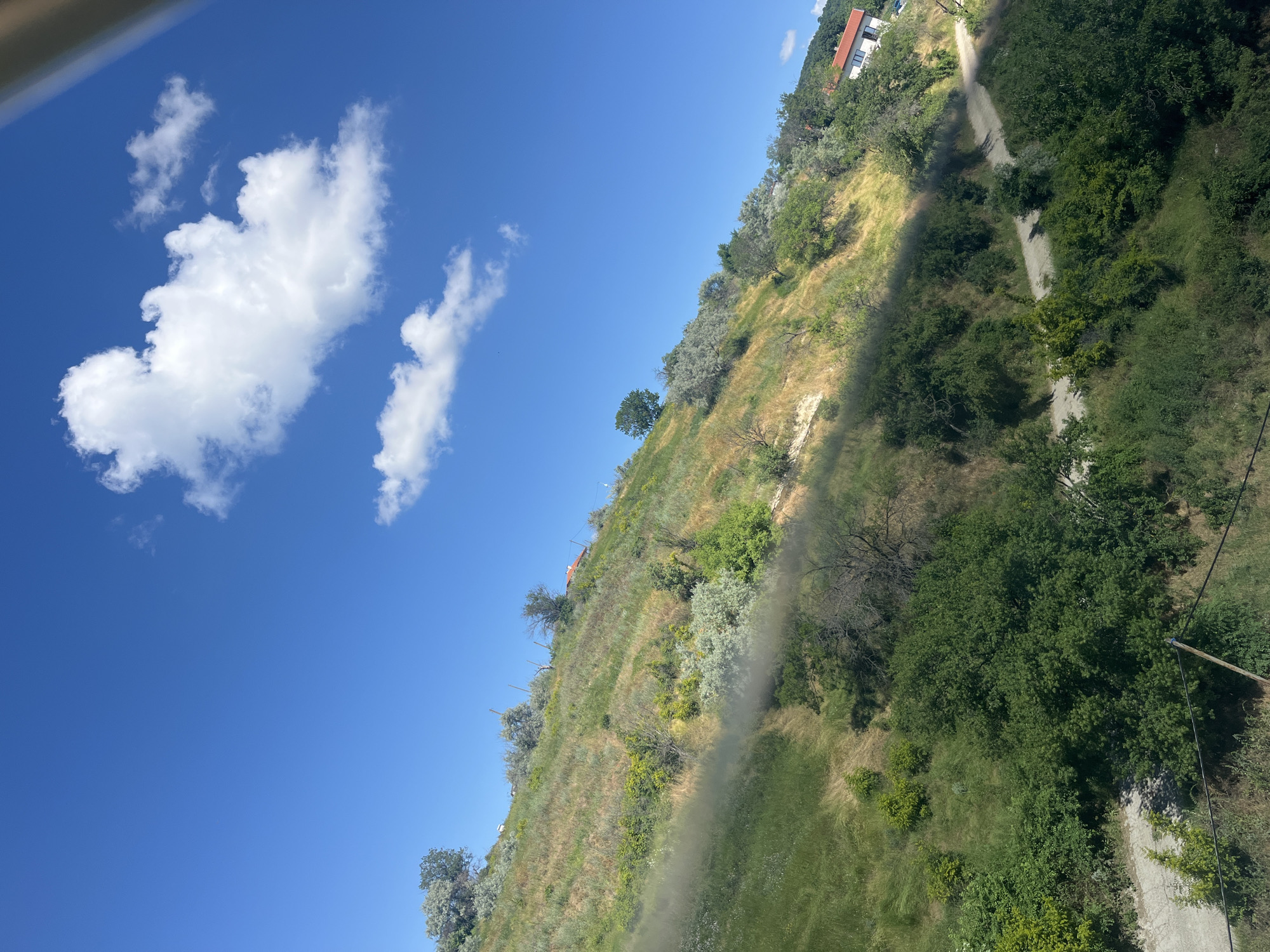 This is a tilted, landscape photograph of a grassy hillside in the city of Varna, Bulgaria, under a bright blue sky with scattered white clouds. The hillside is covered in dry grass, low bushes, and scattered trees, with some areas appearing more parched and yellowed than others. A dirt road winds its way up the slope, disappearing into the dense greenery. In the upper right portion of the frame, a white house with a red-tiled roof is visible, nestled among the trees on the hilltop. There are no people or animals visible in the scene. The overall impression is of a sunny, rural environment on the outskirts of a city.