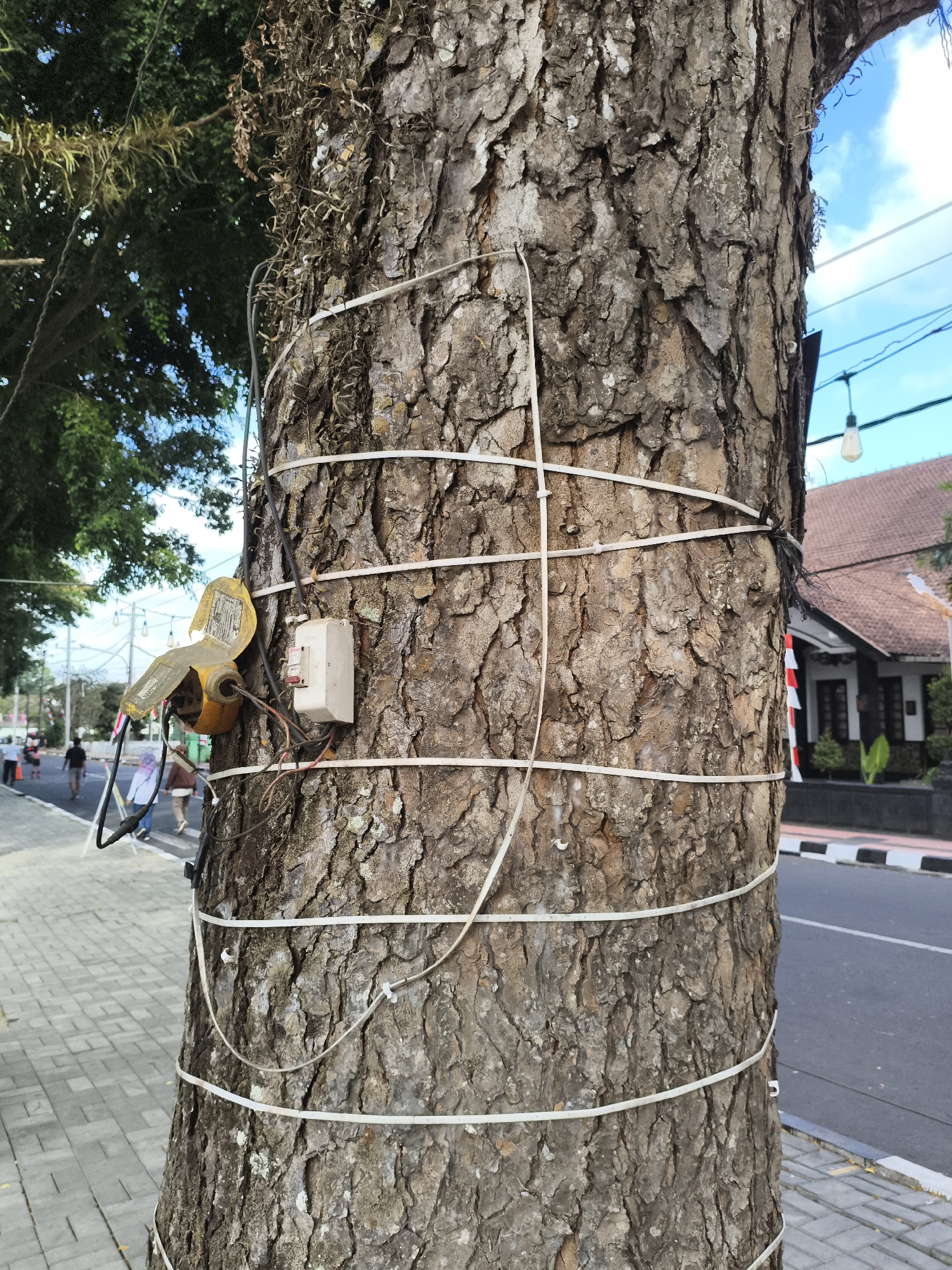 A large tree trunk in Magelang, Indonesia, is wrapped with white plastic straps. Attached to the tree are electrical wires and a junction box. To the left of the tree, a sidewalk is visible, with people walking in the background. A road runs alongside the sidewalk, and a building with a tiled roof is situated across the street. The sky above is blue with scattered clouds.