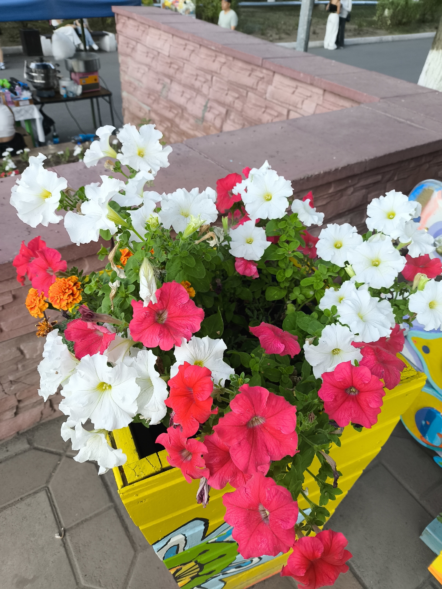 A close-up, eye-level shot captures a vibrant yellow planter box overflowing with a variety of petunias in white and bright pink, interspersed with small orange marigolds. The planter is adorned with colorful graffiti. In the background, a brick wall borders a paved area. Further back, out of focus, is a public area with a blue tent, tables, and what appears to be a cotton candy machine, suggesting a public event or market. Two individuals are visible standing in the distance. The scene is likely set in a public outdoor space within the city of Temirtau, Kazakhstan, possibly a park or a street market area.