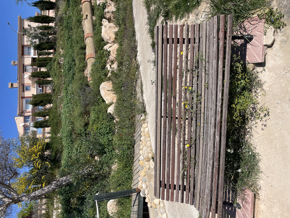 This image captures an outdoor scene in Urbanización Ciudad Quesada, Spain, under bright daylight. In the immediate foreground, a weathered wooden slatted park bench with dark metal supports sits on a light-colored dirt and gravel path. Small green weeds and several yellow-flowered plants are growing on and around the bench. To the left of the bench, a section of a wooden walkway or bridge with a light-colored rope handrail is visible, connecting to a path lined with rounded stones.
The midground features a gently sloping terrain covered with dense green vegetation, scattered large light-colored rocks, and a prominent, segmented concrete pipe with a reddish-brown hue running horizontally across the right side. The dirt path from the foreground continues into the midground, curving towards the right.
In the background, a steep hillside rises, densely covered with varied green flora, including a large tree with sparse branches and clusters of bright yellow blooms on the left. Above the hillside, a row of tall, slender cypress-like trees stands in front of a multi-story residential building. This building features peach-colored facades, multiple windows with white frames, and several terracotta-tiled roof sections with chimneys. A street light pole is visible on the right, extending above the residential structure. The sky above is clear and bright blue. No individuals are present in the scene.