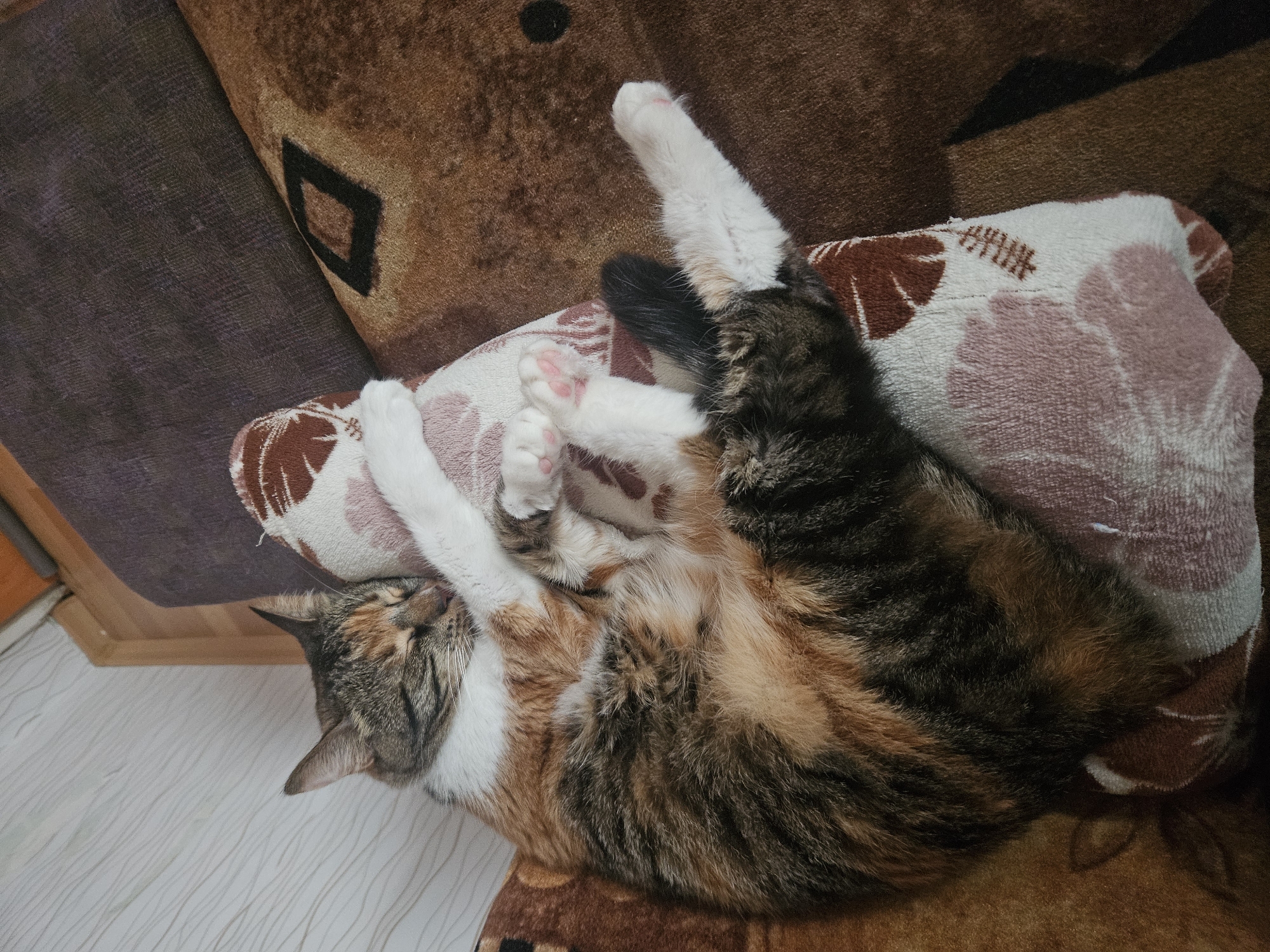A calico cat, predominantly brown, black, and white with patches of orange/ginger fur, is depicted sleeping soundly on its back or side. Its eyes are closed, indicating deep rest. The cat's white paws are visible, some outstretched and others slightly curled, revealing pink toe beans.
The cat is lying on a sofa or armchair upholstered in a brown, textured fabric. Part of the sofa features a dark brown or black diamond pattern. A white cushion or pillow with a brown and pink floral or abstract pattern is placed beneath the cat, serving as a soft resting spot. To the left and upper part of the frame, another section of furniture with a darker, possibly purple-brown, plain fabric is visible. The bottom left corner shows a light-colored floor, likely wood or laminate, with a subtle linear grain pattern.
The overall scene suggests a peaceful and comfortable indoor environment. There are no people visible, nor any discernible text. The time of day is not explicitly indicated but appears to be well-lit indoors. The cat's relaxed posture conveys a sense of tranquility and contentment. The location is provided as Yambol, Bulgaria.