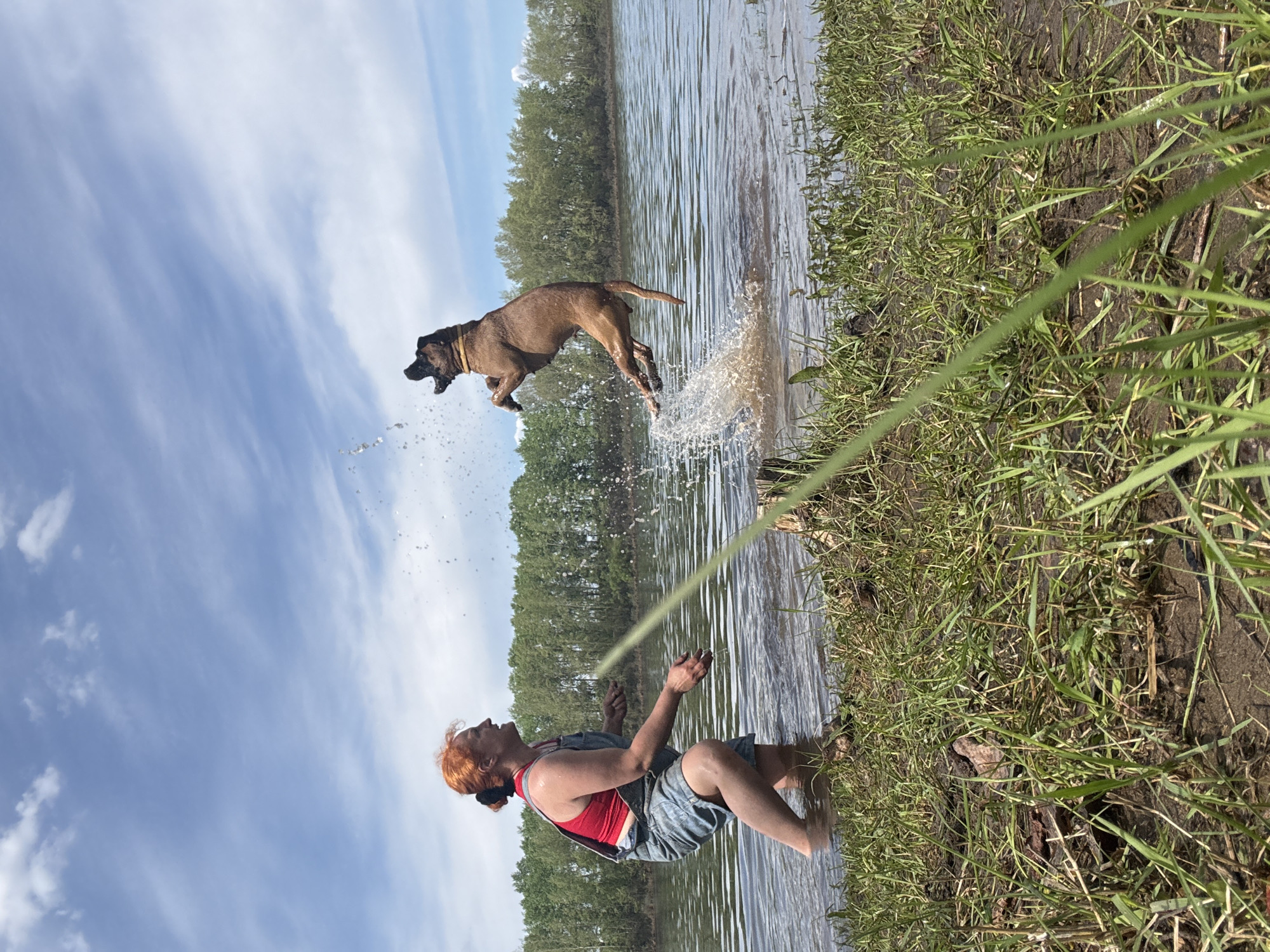 A dog jumps through the air above a body of water, with an adult person on the left, and shoreline on the right. The person is kneeling in the water and has reddish hair. The dog is brown and mid-leap, with water splashing below it. A line or hose is visible from the person towards the dog. The body of water has trees lining the background. The sky is partly cloudy. The shoreline is covered in green grass. Based on the information provided, the location is Chaikovsky, Russia.