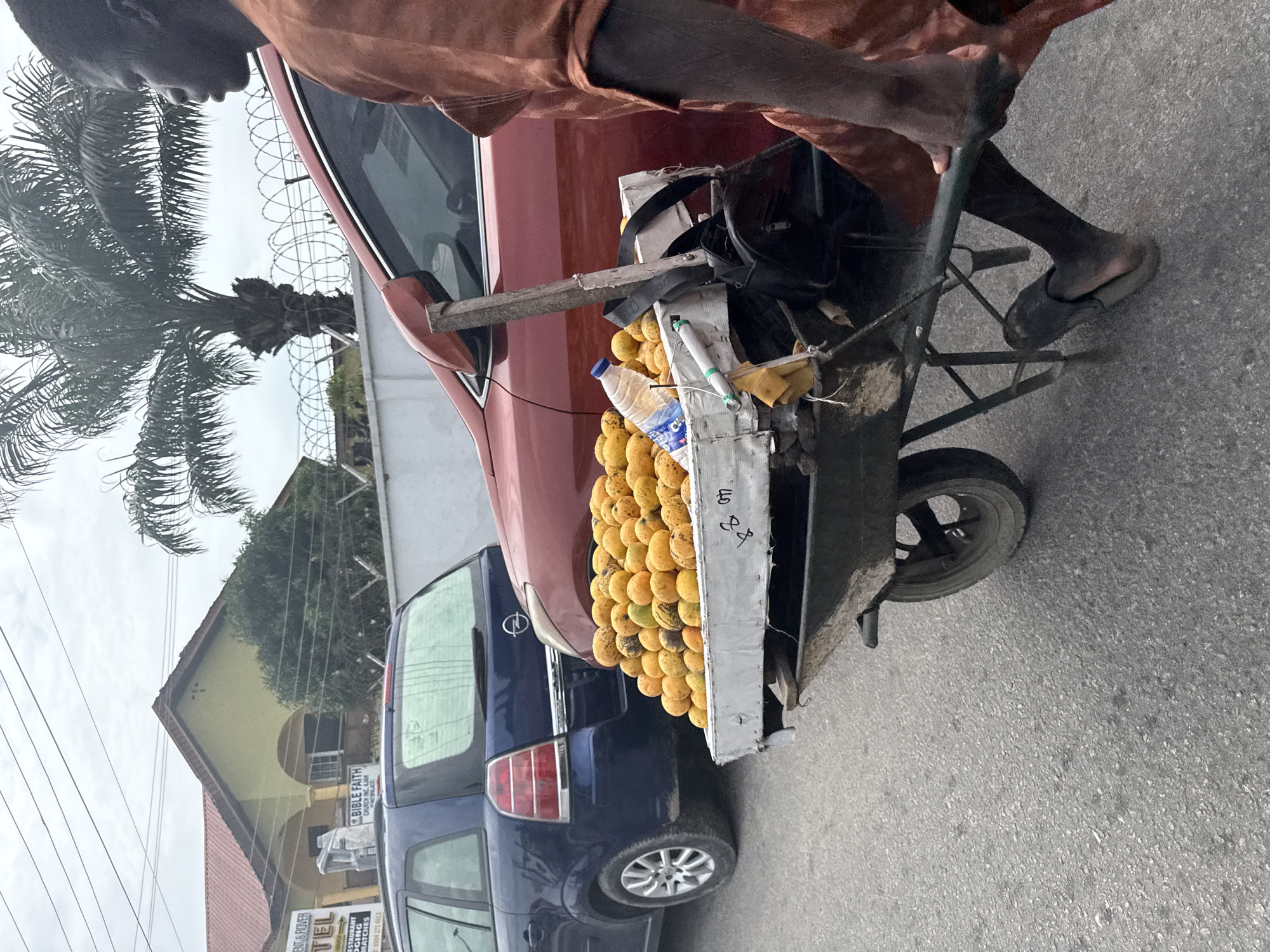 A street-level scene in Ado, Nigeria, captures a person pushing a modified wheelbarrow filled with numerous bright yellow fruits, likely oranges or other citrus. The individual, seen from the waist up, has dark skin, is wearing a reddish-brown top and dark slippers, and is pushing the wheelbarrow along a paved road.
The wheelbarrow is equipped with a flat top platform over its main body, serving as a display area for the piled fruits. A plastic bottle, a black bag, and other small items are also visible on the wheelbarrow. Adjacent to the vendor is a parked red sedan, with a blue SUV or minivan parked behind it.
The background features a large, lush palm tree on the left, reaching towards an overcast sky. Beyond the vehicles, typical buildings are visible, including one with a yellow wall and a red roof. Sections of barbed wire fencing are noticeable along property boundaries, and overhead power lines crisscross the scene.
Visible text on various signs in the background provides location context: "RESTAURANT," "LODGING," "MATCHES," "HOTEL," a phone number "0904 271 4513," and "BIBLE FAITH CHURCH INC. ALJAN." The image portrays a common sight of street vending in a Nigerian urban setting during daytime under a cloudy sky.
