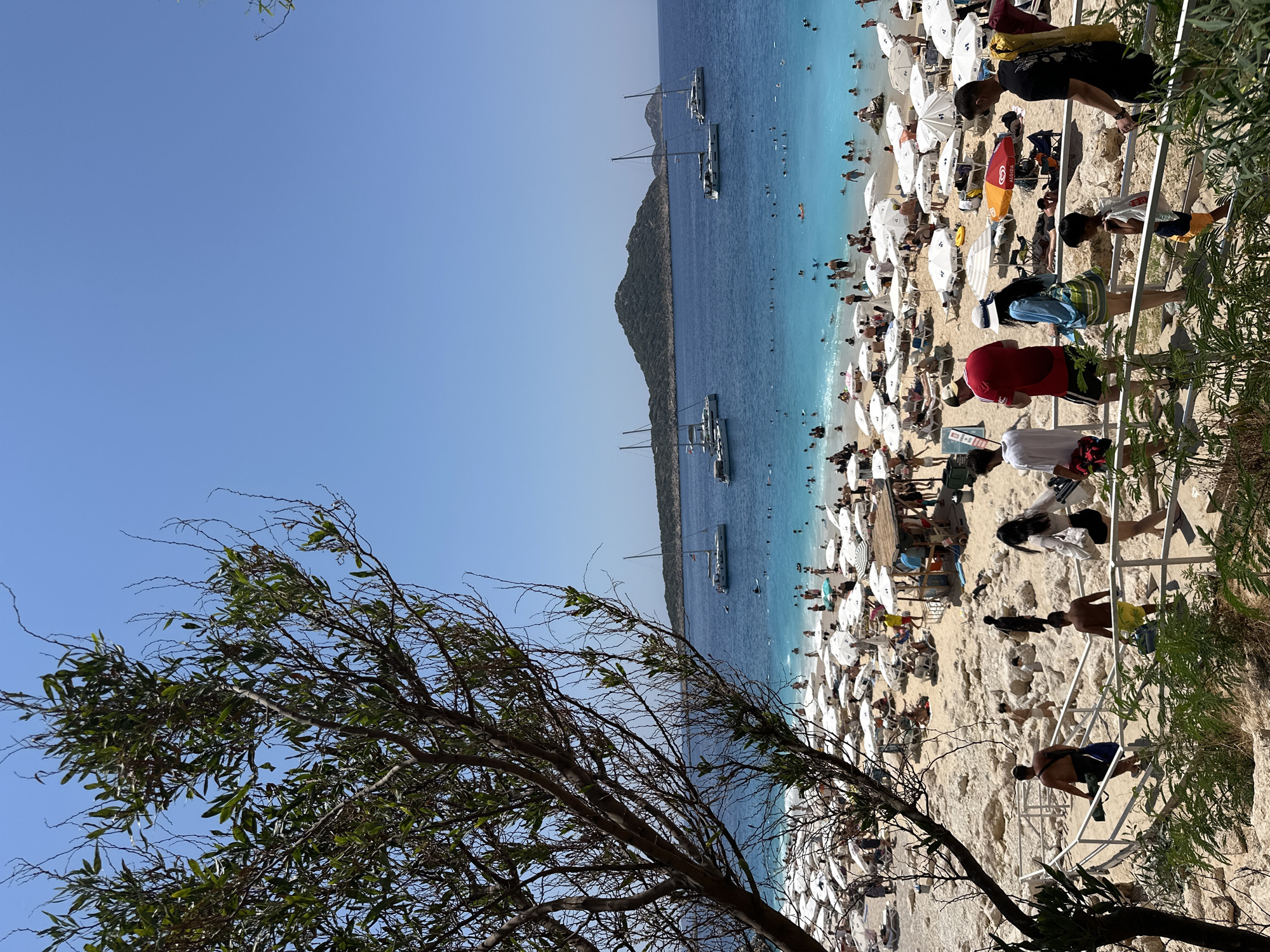 This image captures a vibrant summer scene at Kaputaş Beach in Kaş, Turkey. The beach is densely populated with beachgoers relaxing under numerous white umbrellas on a sandy shore. The turquoise water is filled with swimmers, and several sailboats are anchored offshore. In the foreground, a leafy tree branches across the frame, framing the view. A group of people are walking down a set of stairs leading to the beach. The sky is clear and blue, indicating a sunny day.