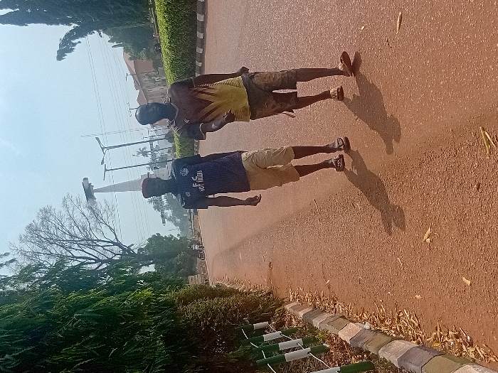 The image depicts two adult males walking on the right side of a reddish-brown paved road in Ayangba, Nigeria, under a bright, hazy sky.
The man on the left wears a dark blue t-shirt with white text, khaki-colored shorts, brown flip-flops, and a red cap. The man on the right wears a short-sleeved t-shirt with a brown, orange, and yellow chevron pattern, dark shorts, and light brown flip-flops. Both men cast prominent shadows to their front-right, indicating a light source behind and to their left.
To the immediate left of the road, a green metal fence with white vertical stripes borders a curb composed of grey and brown blocks. Beyond the curb, a dense line of green foliage is present. Further left in the background, a large, bare deciduous tree stands against the sky.
In the background, a tall, white, abstract monument or structure is visible. To its right are two modern multi-fixture streetlights. Further back, buildings with reddish roofs are discernible. The far right background features a continuous line of trimmed green hedges, separating the road from other structures or areas. The ground along the roadside contains scattered dry leaves.