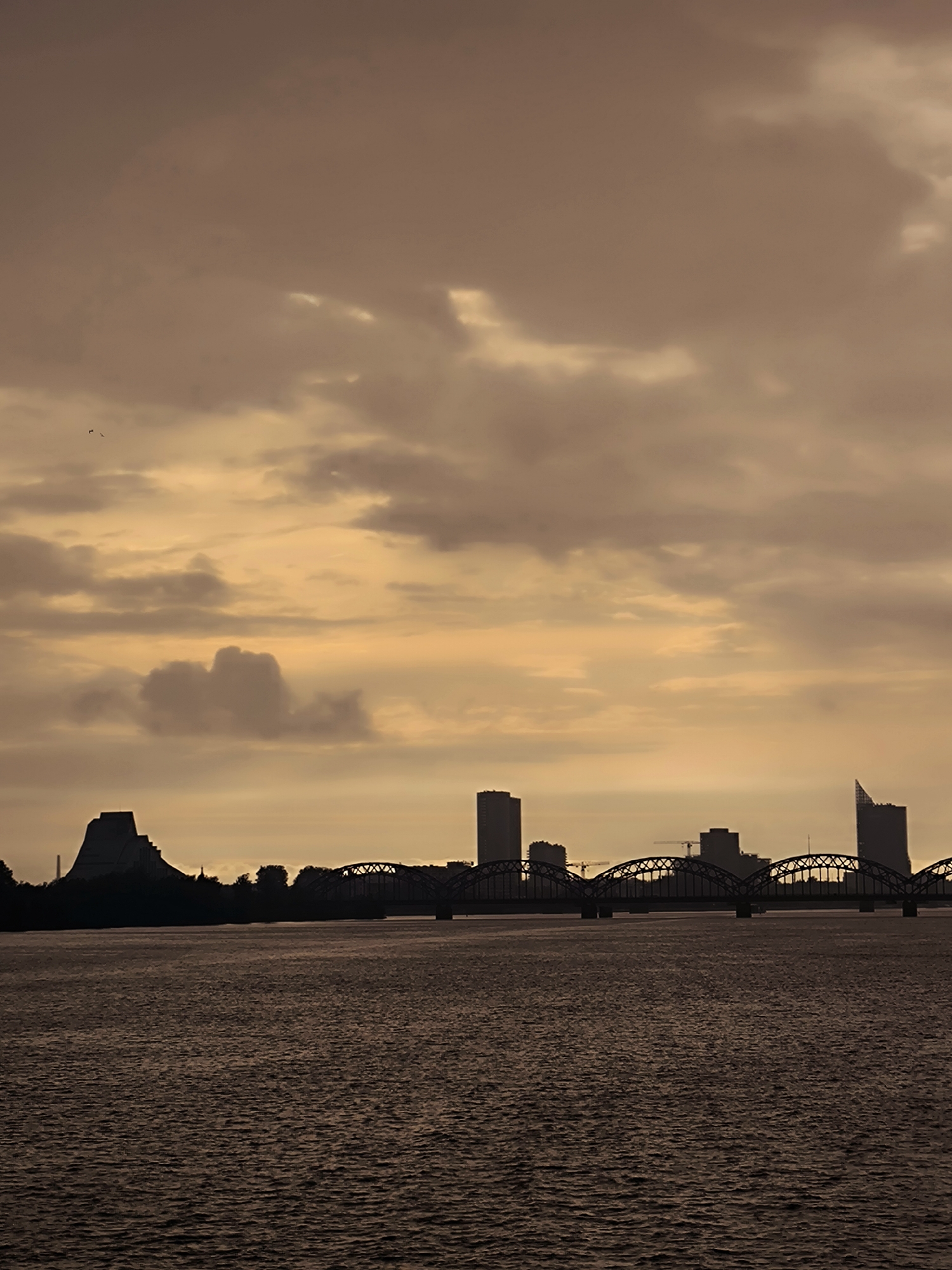 A dusky, golden sky with scattered clouds looms over a silhouetted cityscape and a dark, rippling body of water. The scene is framed by the Daugava River in Riga, Latvia, at dusk. On the left bank, the National Library of Latvia, a distinctive layered pyramid-shaped structure, is visible. A multi-arched railway bridge spans the river, connecting the two sides of the city. Several tall, modern buildings form the Riga skyline in the background, with construction cranes also present. Two small birds are captured in flight against the vast expanse of the sky. The water reflects the muted tones of the sky, creating a serene yet dramatic atmosphere.