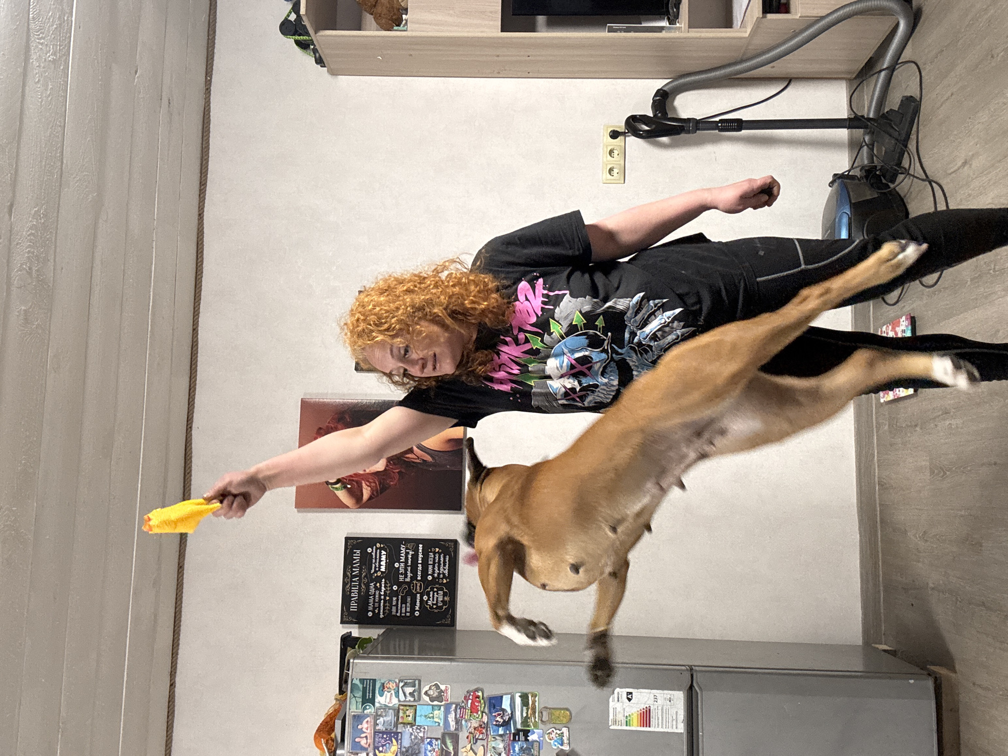 A woman with red curly hair is holding a yellow object, possibly a toy, out to a light brown dog that is mid-jump. They are in an indoor setting with a refrigerator, a poster of a woman, and a sign with Russian text. A vacuum cleaner stands nearby. The location may be in Chaikovsky, Russia, due to the Russian text on the sign.
