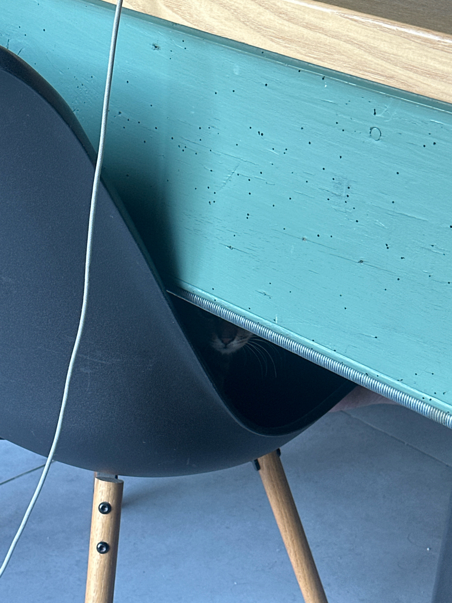 A cat peeks out from a dark recess under a turquoise-painted wooden surface, positioned at an angle. The cat's face, including its eyes, is visible. The turquoise surface has numerous small, dark specks. To the left, a portion of a black plastic chair with wooden legs and metal fasteners is visible. A light-colored cable hangs down on the left side of the image. The background consists of a plain, light-colored floor. There is no information to suggest the location is in Tbilisi, Georgia.