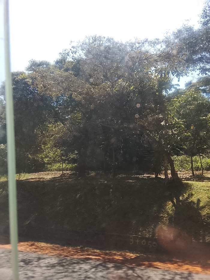 A view through a window reveals a sunlit, grassy hill topped with dense trees. The tree branches cast shadows on the hillside, partially obscuring a set of stairs leading up. In the foreground, blurred shapes suggest movement. A small marking reading "3+050" is visible on the lower part of the hill. The scene is bathed in natural light, creating a contrast between bright areas and shadowed regions.