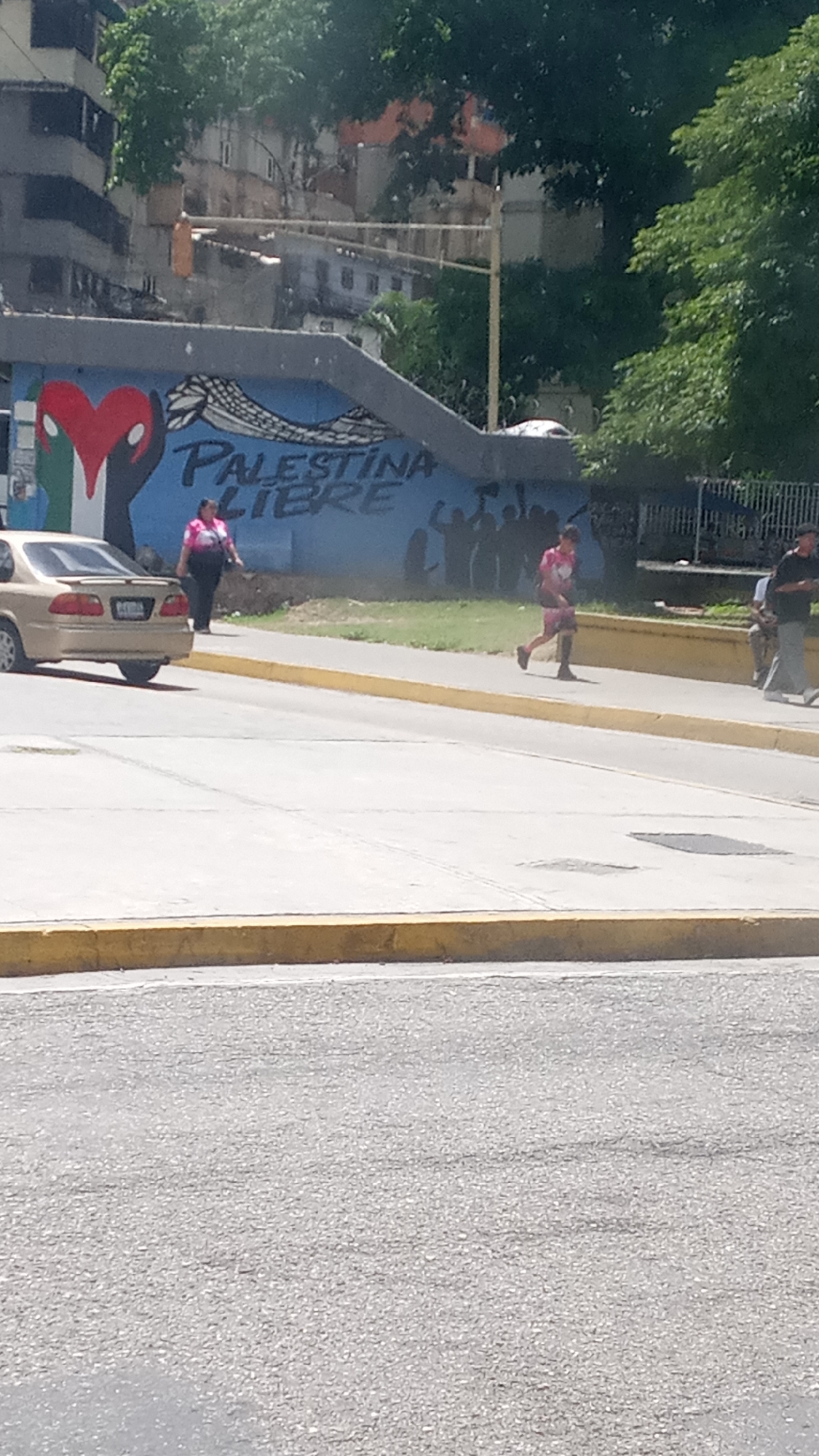 The image shows a street scene in an urban environment. A light-colored sedan is parked on the left side of the frame. A woman wearing a pink shirt and dark pants is walking on the sidewalk adjacent to the parked car. Further along the sidewalk, a person in a pink shirt and shorts is jogging. An older male walks in the same direction to the far right.
In the background, there is a mural on a wall. The mural features a heart painted in the colors of the Palestinian flag, a snake-like design, and the words "Palestina Libre" painted in white with black shadows. A silhouette of what appears to be a crowd of people are also painted beneath. Behind the wall are buildings and trees.
The location is in the city of Unknown, Unknown.