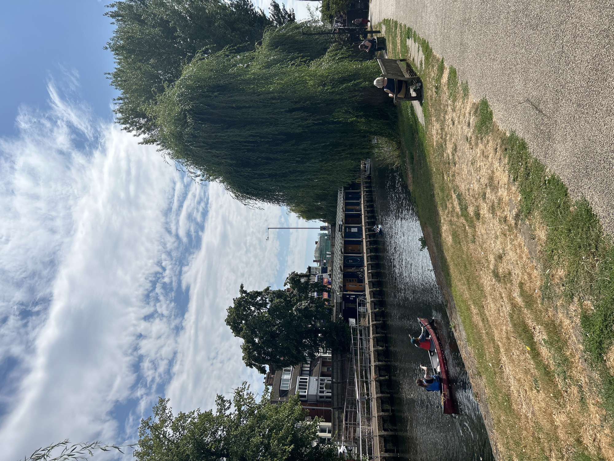 The image shows a sunny day on the River Wensum in Norwich, United Kingdom. In the foreground, two people are canoeing in a red canoe, with one person steering and the other paddling. The riverbank to the right is lined with a paved walkway, a large weeping willow tree, and a bench where a person is sitting. In the background, there are buildings along the opposite bank of the river, including a row of houses and a modern structure with a covered walkway. The sky is blue with scattered white clouds. The scene depicts a leisurely day by the river, with recreational activity and people enjoying the outdoor space.