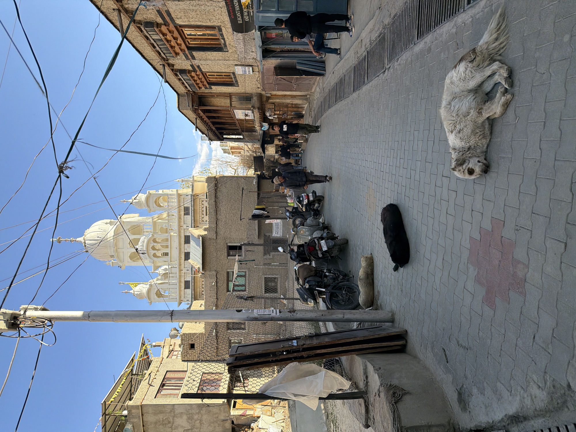 In Leh, India, a street scene unfolds with a prominent white Gurdwara structure featuring a dome and minarets dominating the background. The street is paved with cobblestones, and on the right side, there are traditional buildings with wooden balconies. Several people are walking or standing in the street, and some are seated outside a shop. On the left side of the street, motorcycles and scooters are parked. Two dogs are lying down on the cobblestone pavement in the foreground, one black and one light-colored and shaggy. The sky is clear and blue, and the lighting suggests it is daytime.