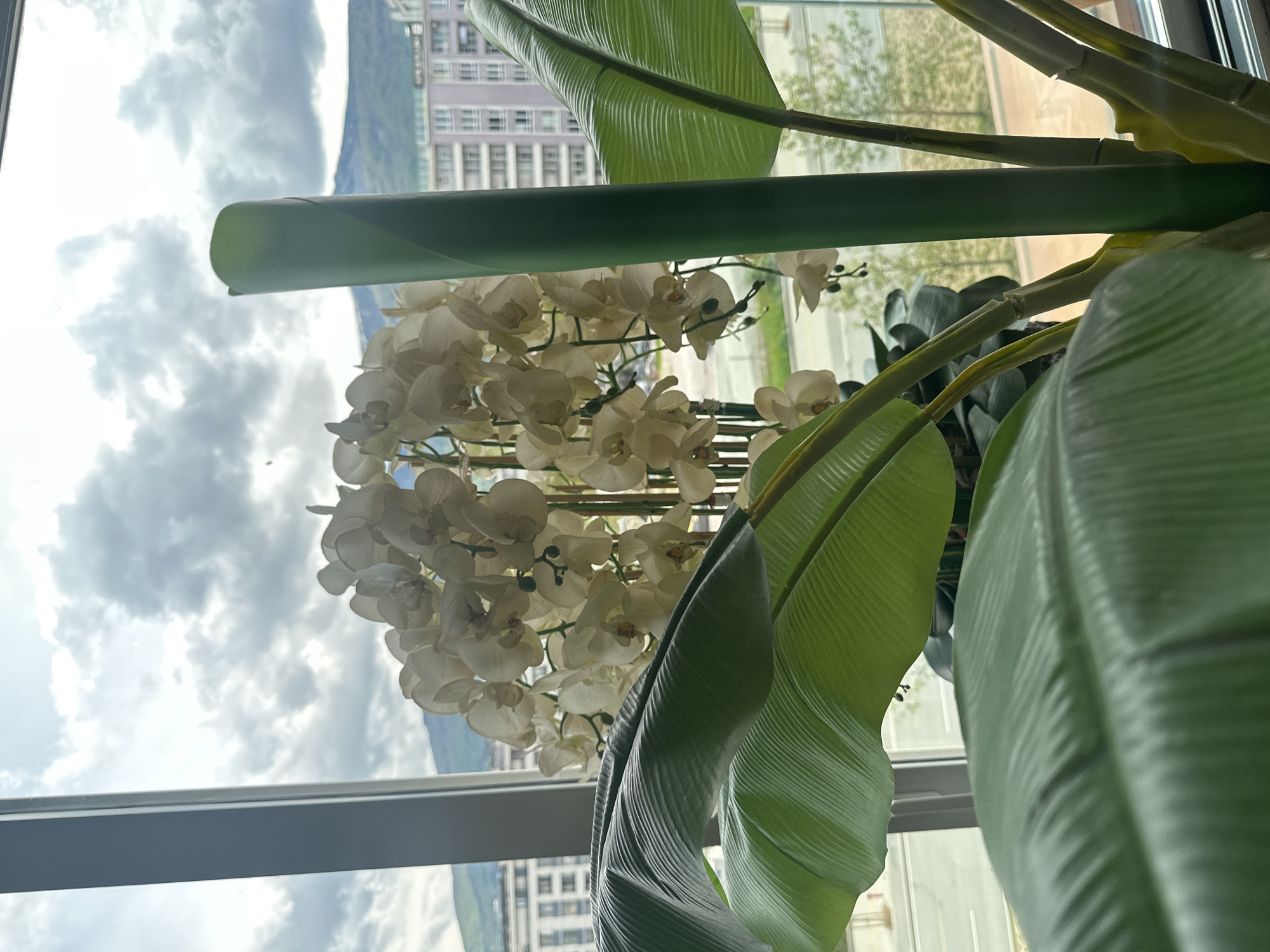 The image shows a close-up, indoor scene with a view through a window. Dominating the foreground are artificial plants – large green banana leaves and a cluster of white orchid blossoms. Through the window, in the background, are buildings, a mountain, and a cloudy sky.
The buildings are multi-story apartments. The sky suggests an overcast or partly cloudy day. Given the visible mountain and apartment buildings, and the request for the city, it is possible that this image was taken in Sofia, Bulgaria, where the Vitosha mountain range is visible from many parts of the city.