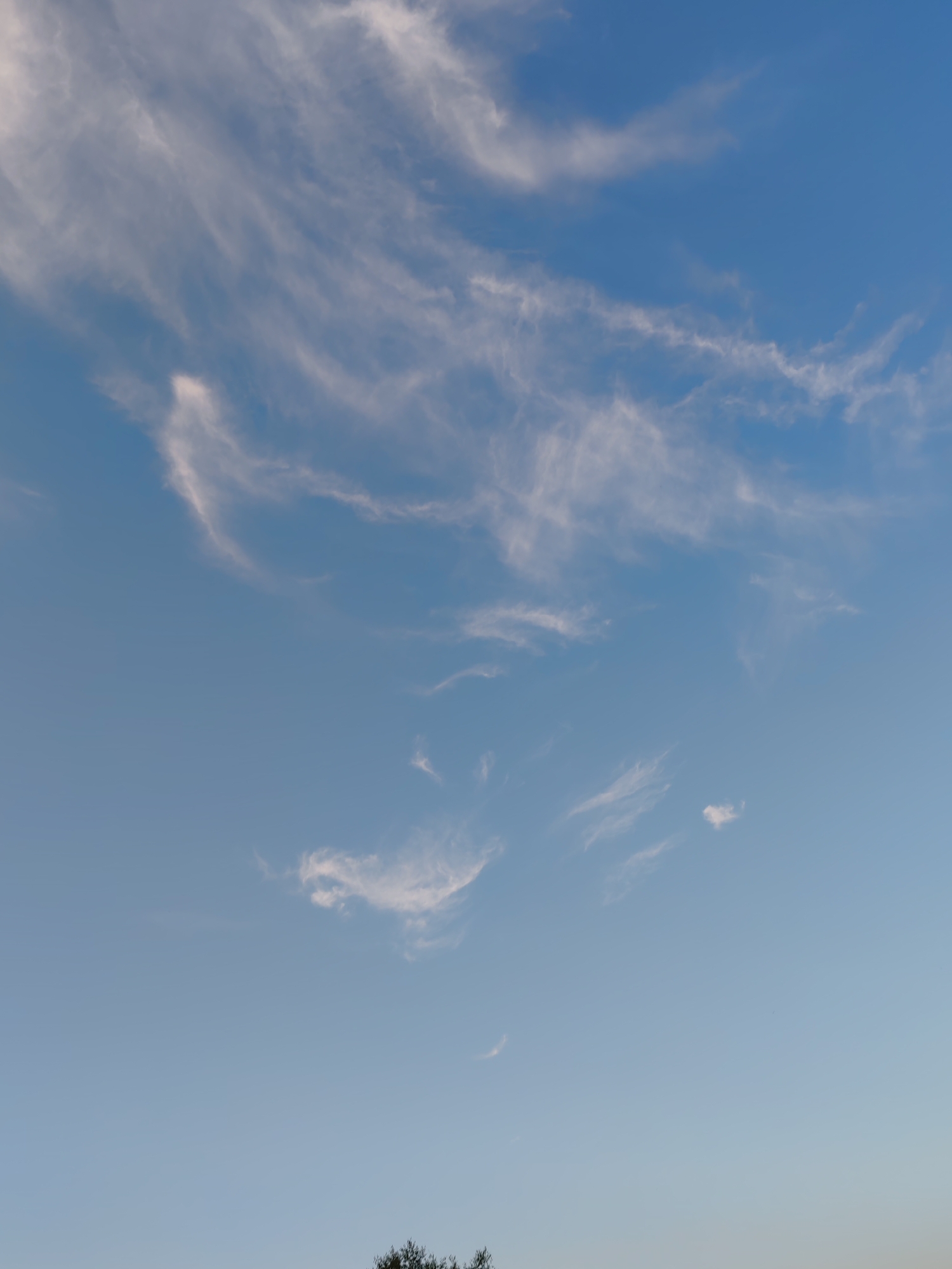 The image displays a clear blue sky with scattered cirrus clouds, characterized by wispy, feather-like formations. The clouds are predominantly white and spread across the upper portion of the frame, creating a sense of depth and texture against the lighter blue sky. The lower part of the image shows a small section of treetops, suggesting an outdoor scene with natural elements. There are no people or visible objects in the sky, and the scene appears to be captured during daylight hours. The image does not provide specific information about the city of Чухлэм, Russia, beyond its general atmospheric conditions.