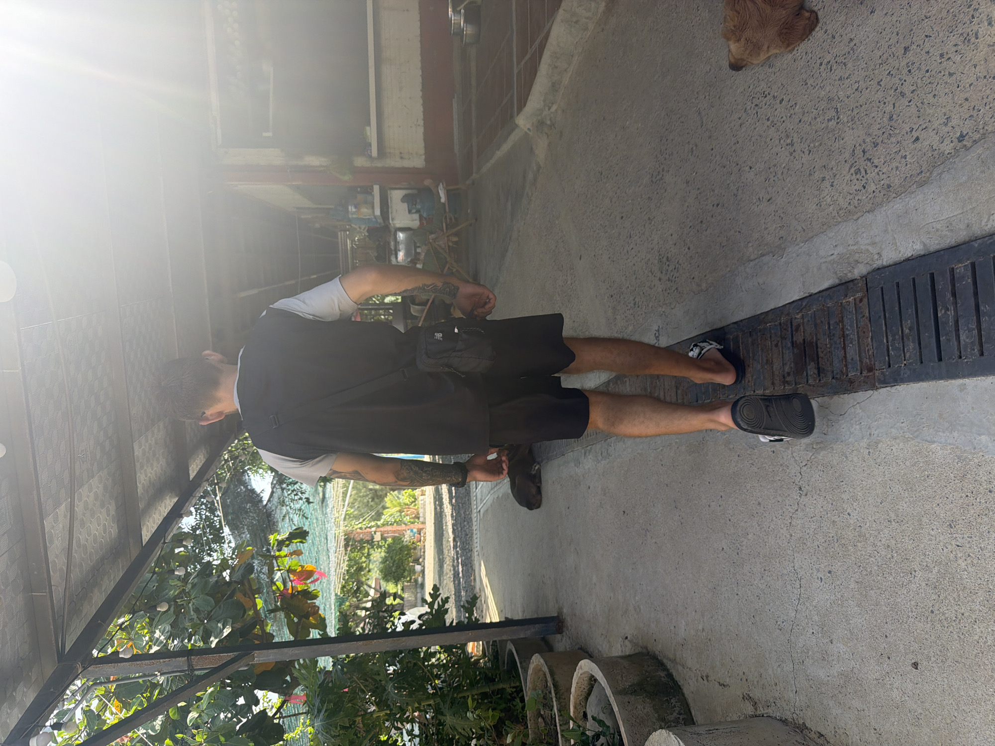 In Vĩnh Lương, Vietnam, a person is walking away from the camera on a concrete pathway. The person is wearing black shorts, a light grey t-shirt, and a black vest over it. A small black bag is slung across their chest. They are wearing black sandals with white accents. To the left of the pathway, there are several large potted plants. To the right, a dark-colored dog is lying down on the pathway. Further down the pathway, a light brown dog is lying on the ground. The scene appears to be outdoors, with a covered walkway or roof overhead. Sunlight is creating a lens flare in the upper right portion of the image, obscuring some details.
