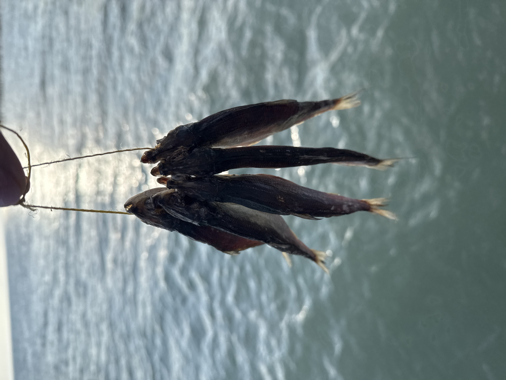 A close-up, eye-level shot shows a string of small, dried fish, likely for consumption or bait, hanging from a person's finger. The fish are arranged in a bunch, with their heads facing upwards and tails dangling downwards. Their bodies are dark brown and appear shrunken and brittle. The background is a blurry expanse of rippling, blue-grey water, suggesting a lakeside or seaside environment, potentially the shore of Lake Issyk-Kul near Sary-Oy, Kyrgyzstan. The sun's glare reflects brightly on the water's surface.