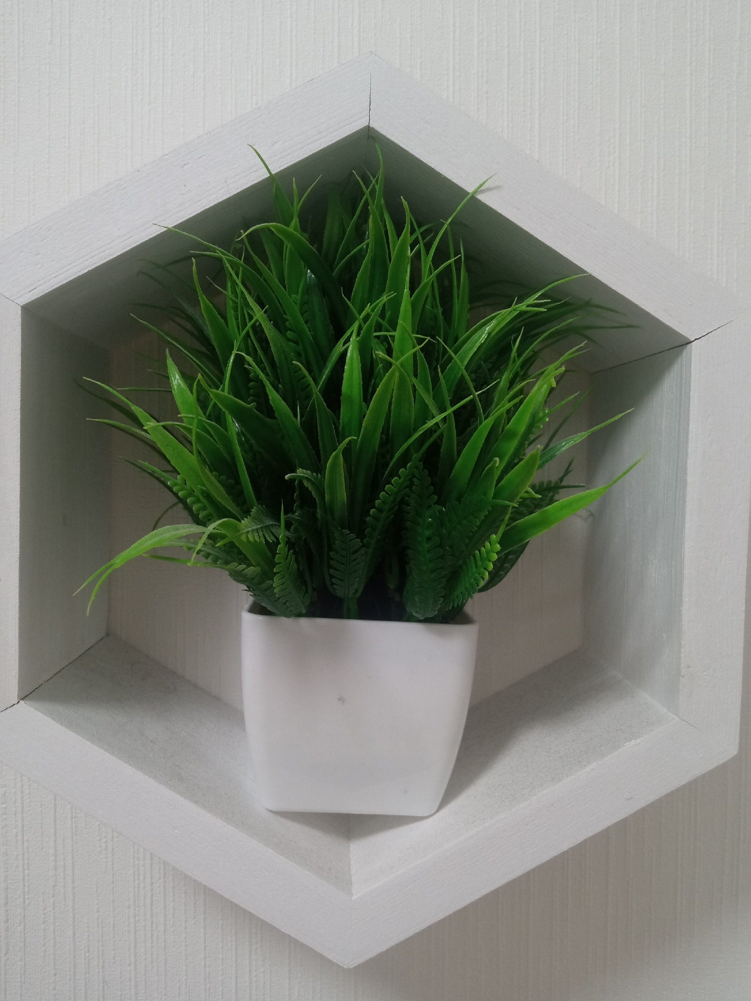 A close-up shot captures a green plant in a white, square pot situated inside a white, hexagonal wall shelf. The backdrop is a white wall with a subtle vertical pattern. The image lacks indications to identify the location as Izhevsk, Russia.