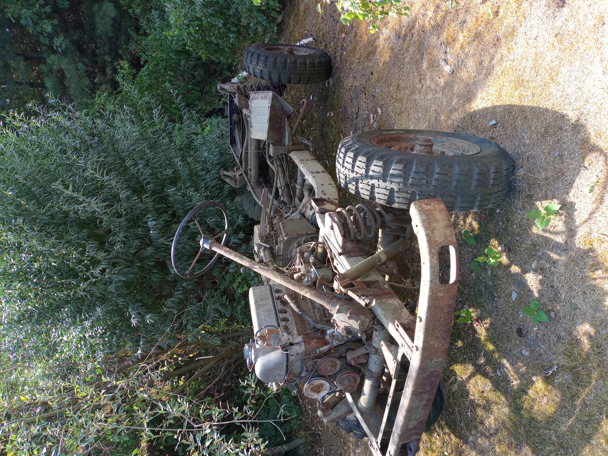 An abandoned vehicle chassis, possibly from a military truck or jeep, is situated in an overgrown, wooded area. The chassis is heavily rusted, with the engine and steering column still attached. Large, rugged tires are mounted on the axles. The ground is covered in dry grass and scattered leaves, with sunlight casting dappled shadows. The surrounding vegetation consists of dense green trees and bushes, indicating a rural or semi-rural setting. There are no people or signs of recent activity. The image does not provide any specific indicators to pinpoint a location within Gelsenkirchen, Germany.