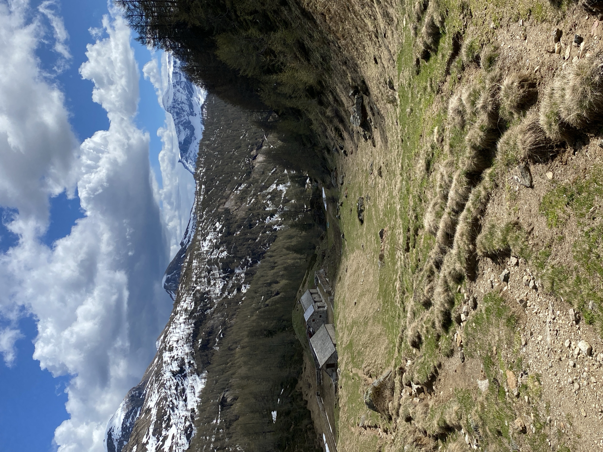 The image shows a mountain landscape in Baceno, Italy. A stone building complex is nestled on a grassy hillside. A forest stretches towards snow-capped mountains and a sky with blue patches and large white clouds. The foreground shows clumps of dry grass on a rocky, dirt slope.