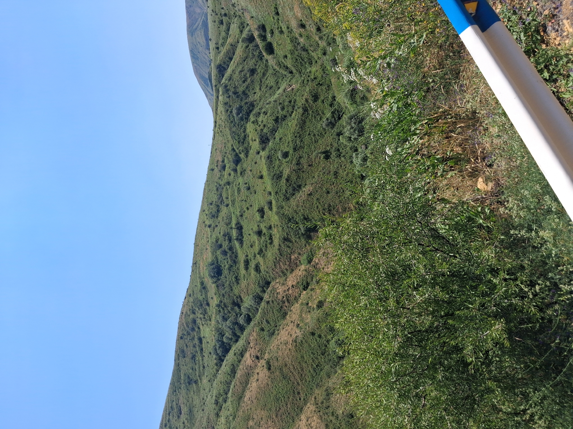 The image depicts a view of rolling, green hills under a clear blue sky. The terrain is covered in dense vegetation, with some areas appearing dry and brown. In the foreground, there is a white guardrail with a blue stripe, suggesting a roadside location. This scene is likely situated in the city of Zaritap, Armenia, a region known for its natural beauty and hilly landscapes. There are no people or animals visible in the image. The overall impression is one of a remote, natural environment.