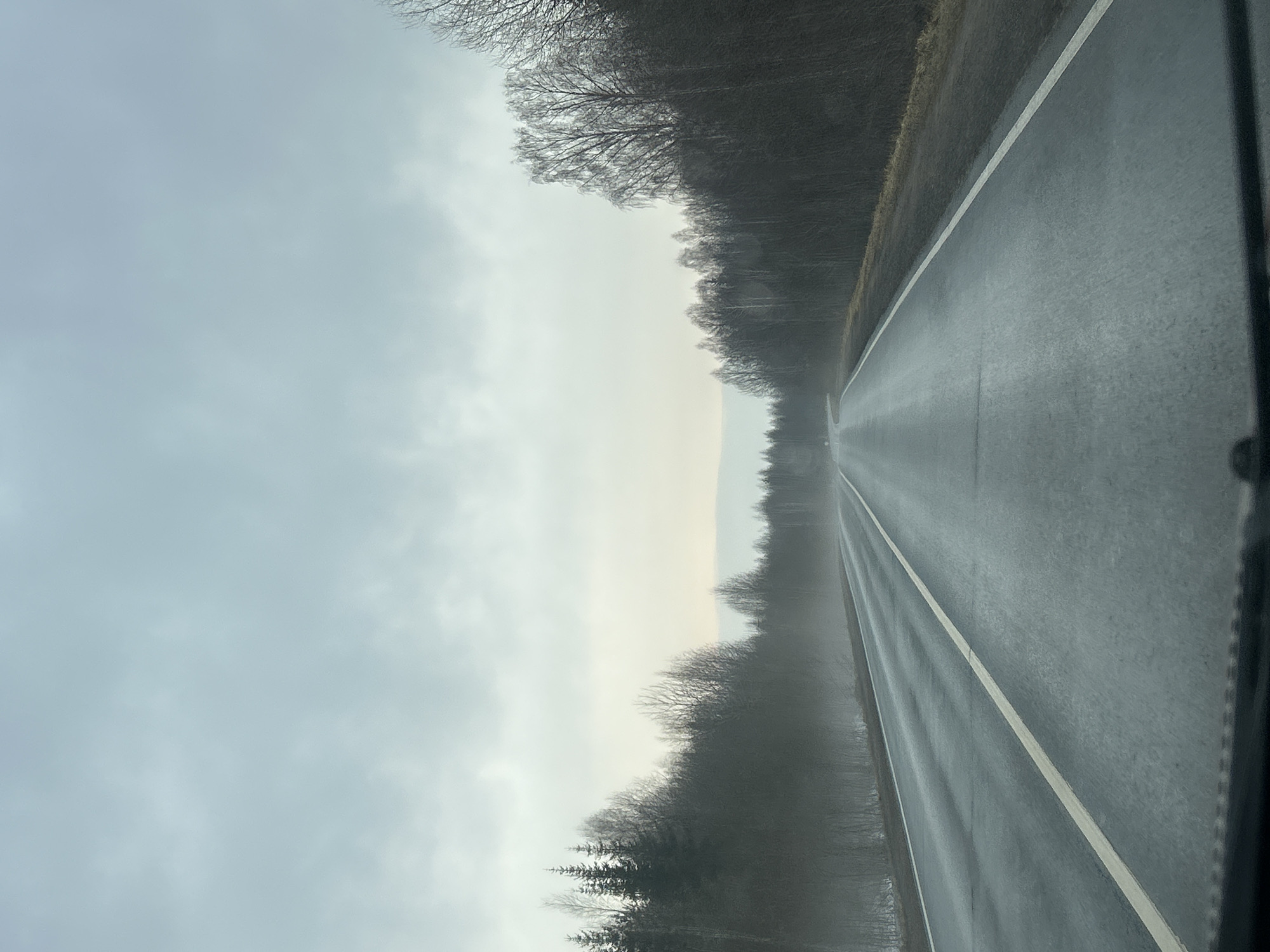 The image depicts a long, straight road stretching into the distance. The road surface appears to be wet, possibly from rain. A white line marks the edge of the road. On either side of the road, dense trees line the route, their branches mostly bare, suggesting it is either late fall or winter. The sky is overcast, adding to the overall somber mood. There is no indication of people in the image. The provided information about Belaya Gora, Russia, cannot be confirmed based on the visual information in the image.