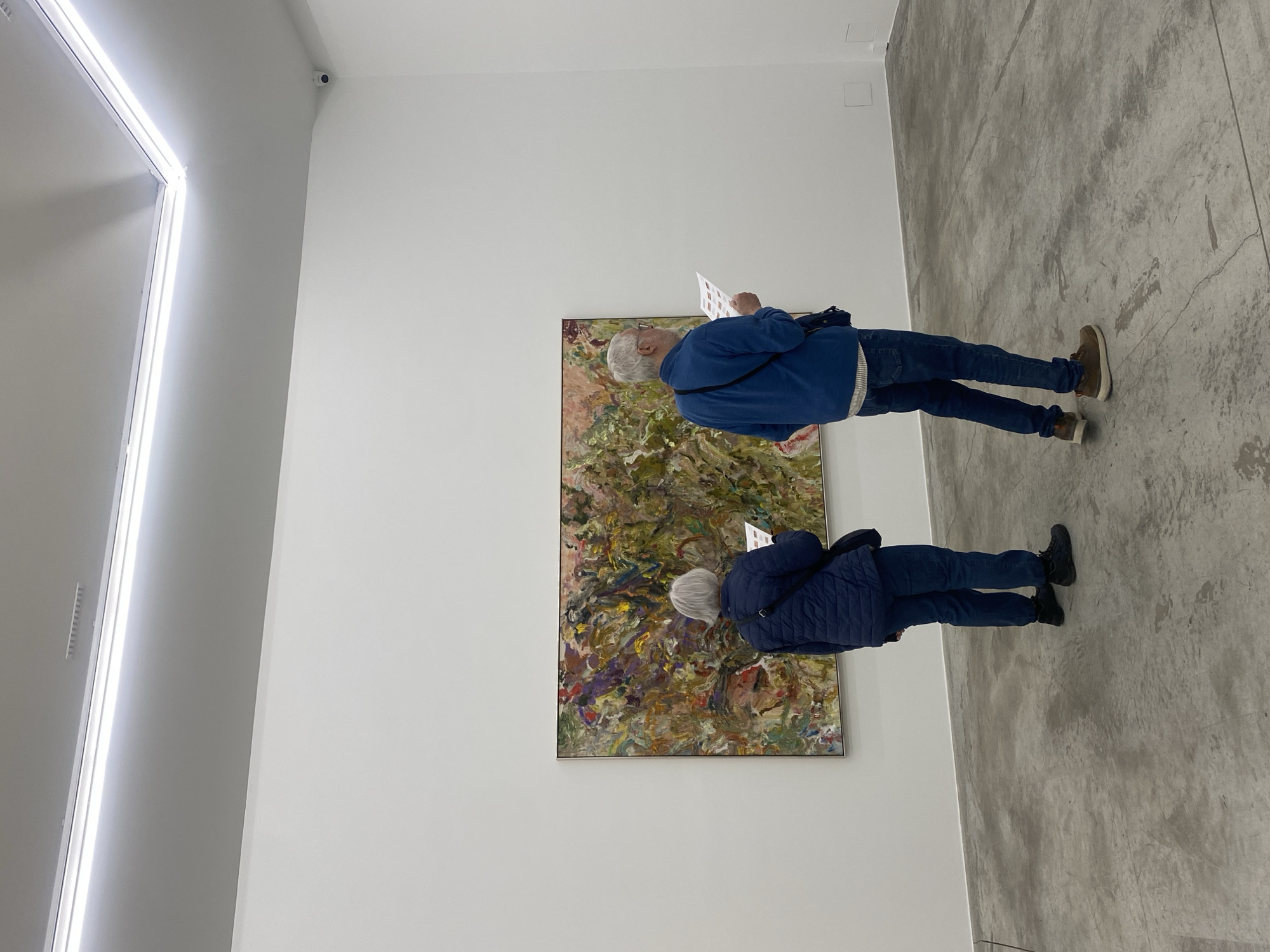 Two individuals, an older man and an older woman with white hair, are depicted in an art gallery or museum. They stand facing an abstract painting, both holding white pamphlets or exhibition guides, suggesting active engagement with the artwork.
The man, positioned slightly further from the camera, wears a blue zip-up jacket, dark blue jeans, and brown shoes. He holds his pamphlet open, directing his gaze towards it and the painting. The woman, closer to the camera, is dressed in a dark blue puffer jacket, dark blue jeans, and black shoes. She also holds an open guide, seemingly studying the painting and its accompanying information.
The painting itself is abstract, featuring a vibrant and complex interplay of colors including greens, browns, reds, purples, and yellows, applied with textured brushstrokes. It is framed simply and hung against a plain white wall.
The setting is characterized by a minimalist aesthetic common in contemporary art spaces. Bright, linear artificial lights illuminate the scene from the left ceiling, creating a stark contrast with the smooth white walls. The floor is made of a rough, light gray concrete, adding to the industrial-chic ambiance. A small, dark security camera is visible high on the right wall, overlooking the space. The overall impression is one of quiet contemplation in a modern exhibition hall in Paris, France. No discernible text is legible on the pamphlets.