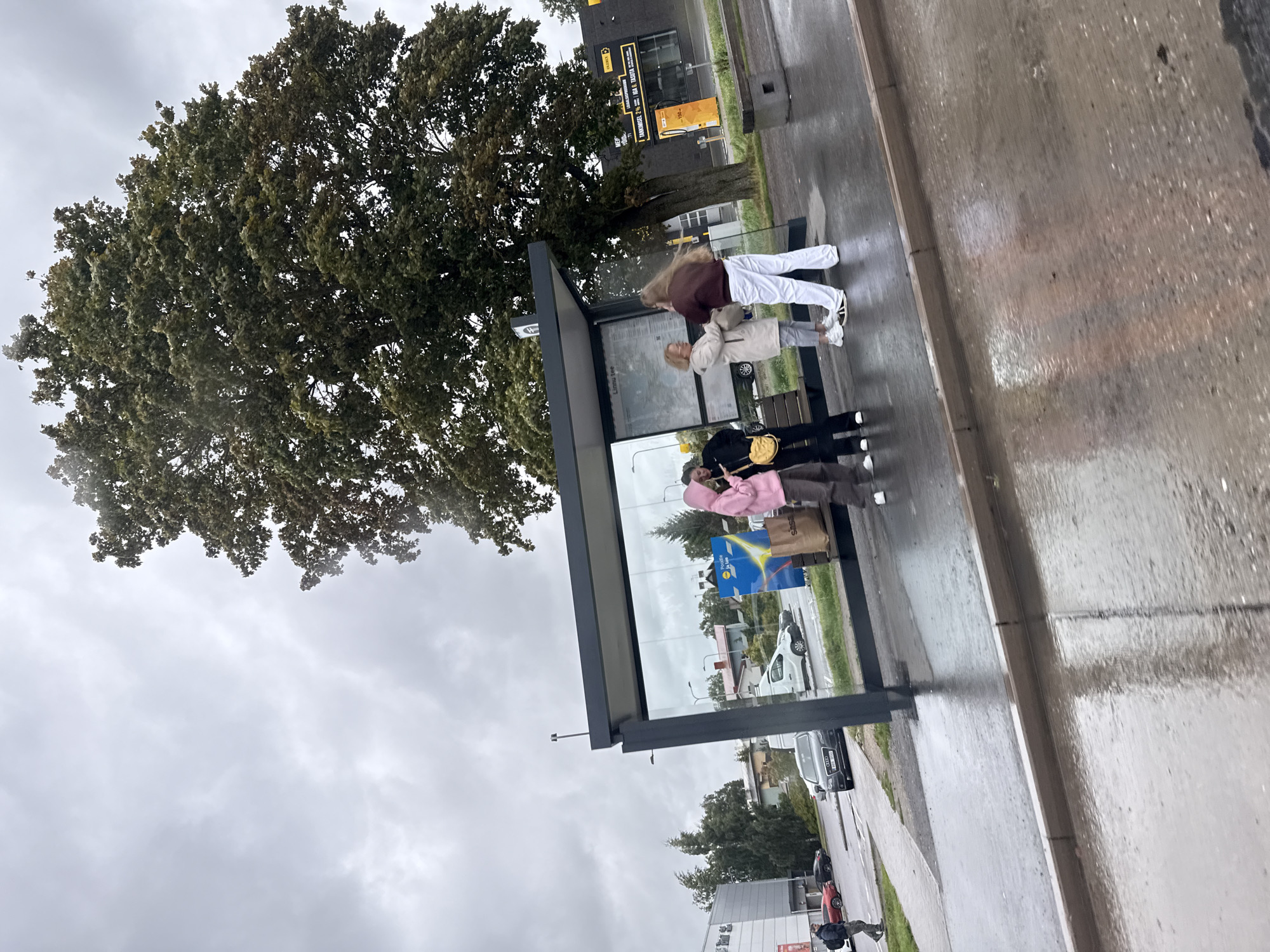 A medium shot captures a group of four young women at a bus stop on a cloudy day in Tallinn, Estonia. The bus stop shelter has a glass enclosure, and a map is displayed on the wall inside. The ground is wet and reflects the overcast sky, suggesting recent or ongoing rain. A large tree with dense foliage is visible behind the bus stop, and beyond that, buildings and a street with cars can be seen.
Two women are standing closest to the viewer, one in a light-colored coat and the other in a dark jacket and pants, facing each other and seemingly engaged in conversation. To their left, another woman wears a pink hooded jacket and dark pants, and is holding a yellow purse. A fourth woman, in white pants and a maroon top, stands slightly apart, facing away from the camera.
In the background, a dark gray Audi car is parked on the street, and to its left, a red sports car is also visible. A person in a dark jacket and gray pants is walking on the sidewalk to the left of the frame. A white van is parked near the bus stop, and further in the background, buildings with visible signage, including what appears to be a gas station with yellow signage, are present. The overall atmosphere is subdued due to the cloudy weather.