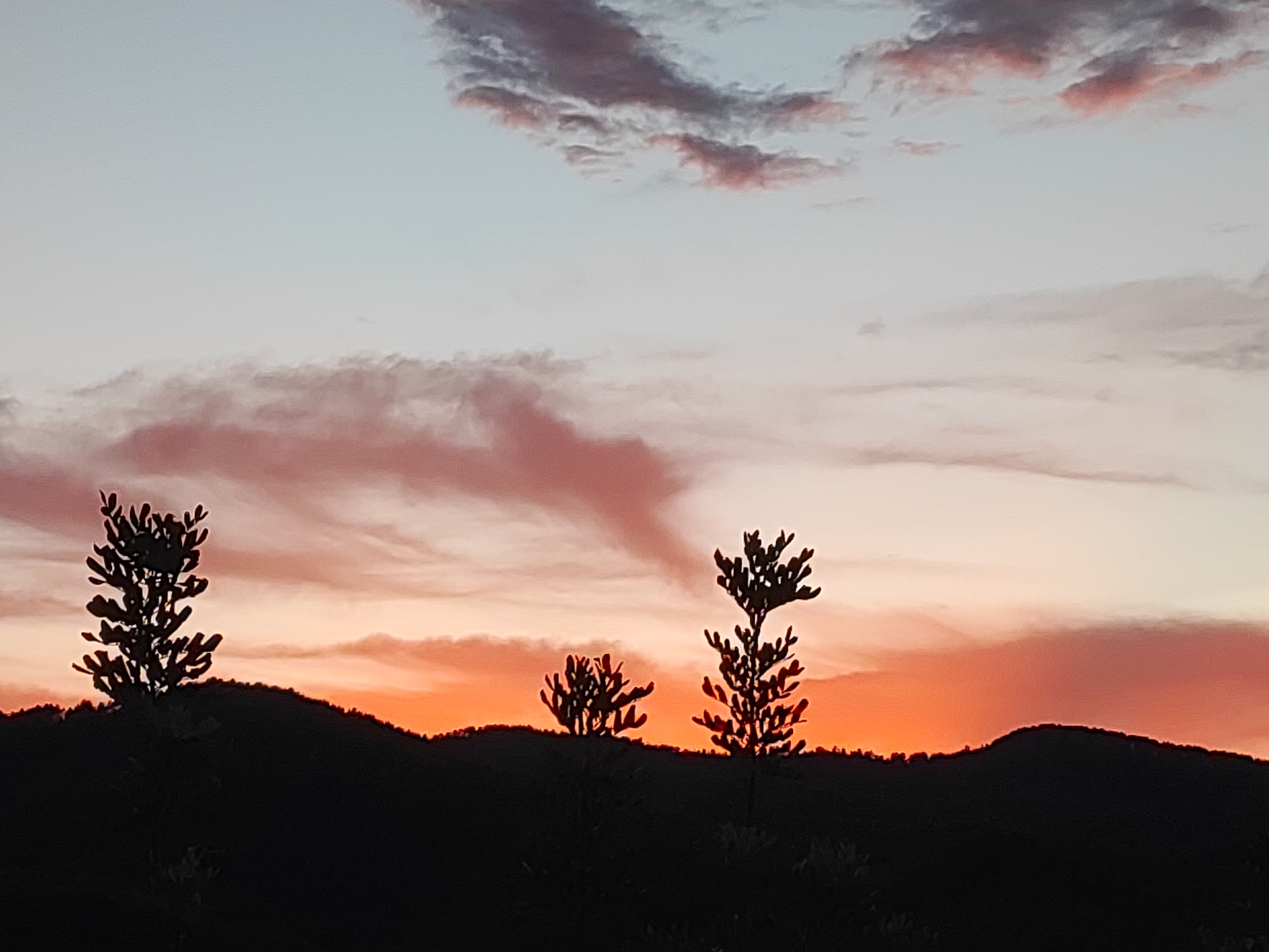 This is a landscape photograph taken at dusk in Suera, Spain. The image depicts a silhouette of a hilly terrain against a vibrant sky filled with shades of orange, pink, and light blue. Several silhouetted trees, with their distinctive branching structures, are visible in the foreground, standing starkly against the colorful horizon. The terrain is dark and undulates, suggesting rolling hills or mountains. The sky features wispy clouds, some tinted with the sunset's warm hues and others appearing as darker, cooler tones higher up. The overall scene captures a serene natural environment at the end of the day.