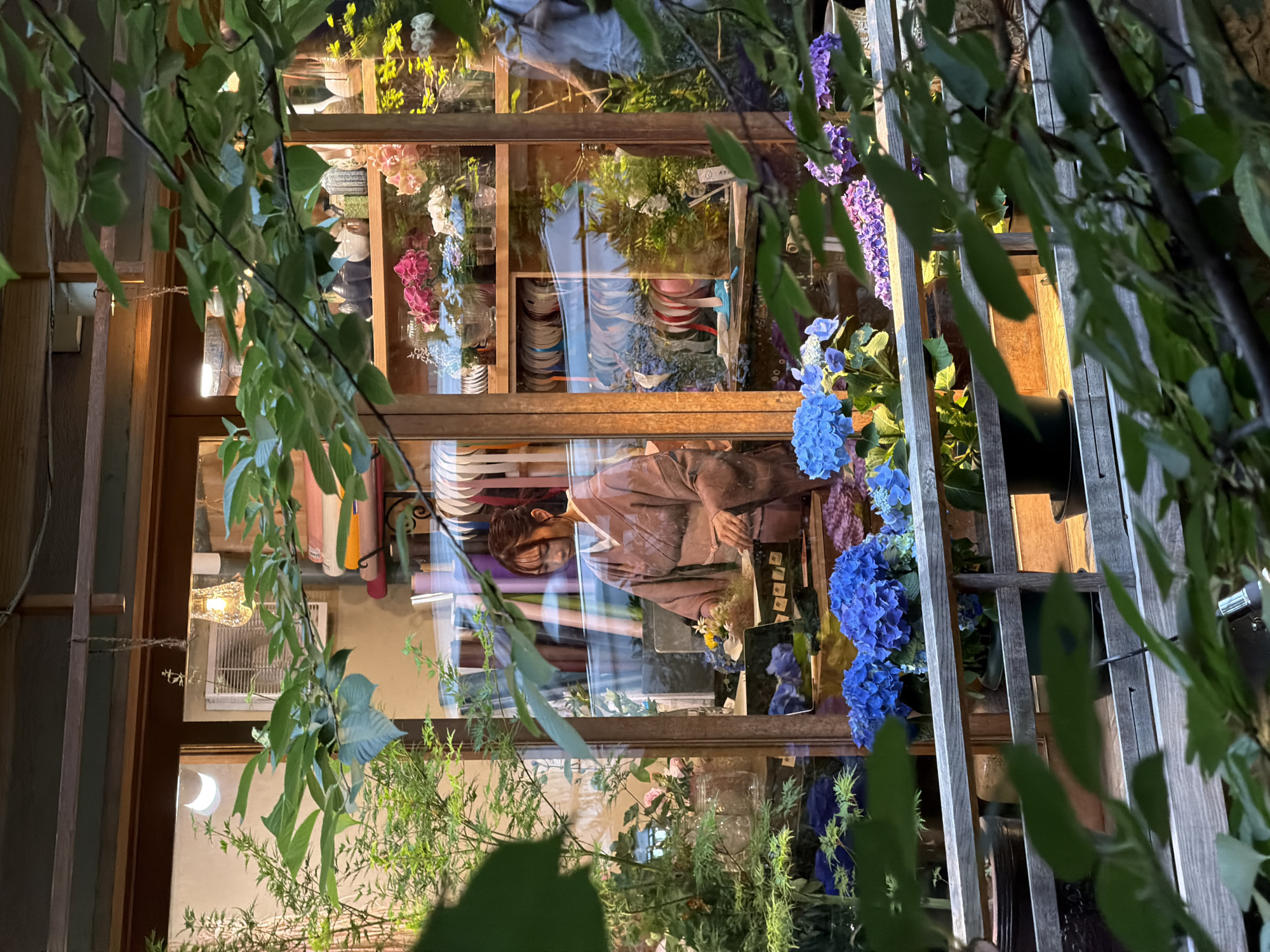 This image depicts the storefront of a flower or craft shop, likely located in Kyoto, Japan, observed through dense, blurred foreground foliage. Inside the illuminated shop, a young East Asian woman with dark hair, wearing a light brown or mauve kimono with an obi, stands behind a wooden counter. She is actively engaged, looking down at items on the counter, with her hands positioned as if arranging or working with them. An open laptop or tablet displaying blue flowers is visible on the counter beside several small, dark boxes.
The shop's interior features wooden shelving stocked with numerous spools of colorful ribbons on lower shelves and various floral arrangements in clear vases on upper shelves. Specific flower types include pink and white orchids or similar blooms. A small, white wall-mounted air conditioning unit is visible above the counter. An ornate, textured glass pendant lamp hangs from the ceiling, casting warm light. In the rightmost window pane, a blurred reflection of a person in a light-colored top is visible.
Outside the shop window, on a light-colored wooden railing, pots of vibrant blue and purple hydrangeas are prominently displayed. Additional green potted plants are present on the railing and in the outdoor space to the left. The scene suggests dusk or evening due to the illuminated interior contrasting with the external ambient light. The cultural attire of the woman and the shop's aesthetic align with common visual characteristics of Japan.