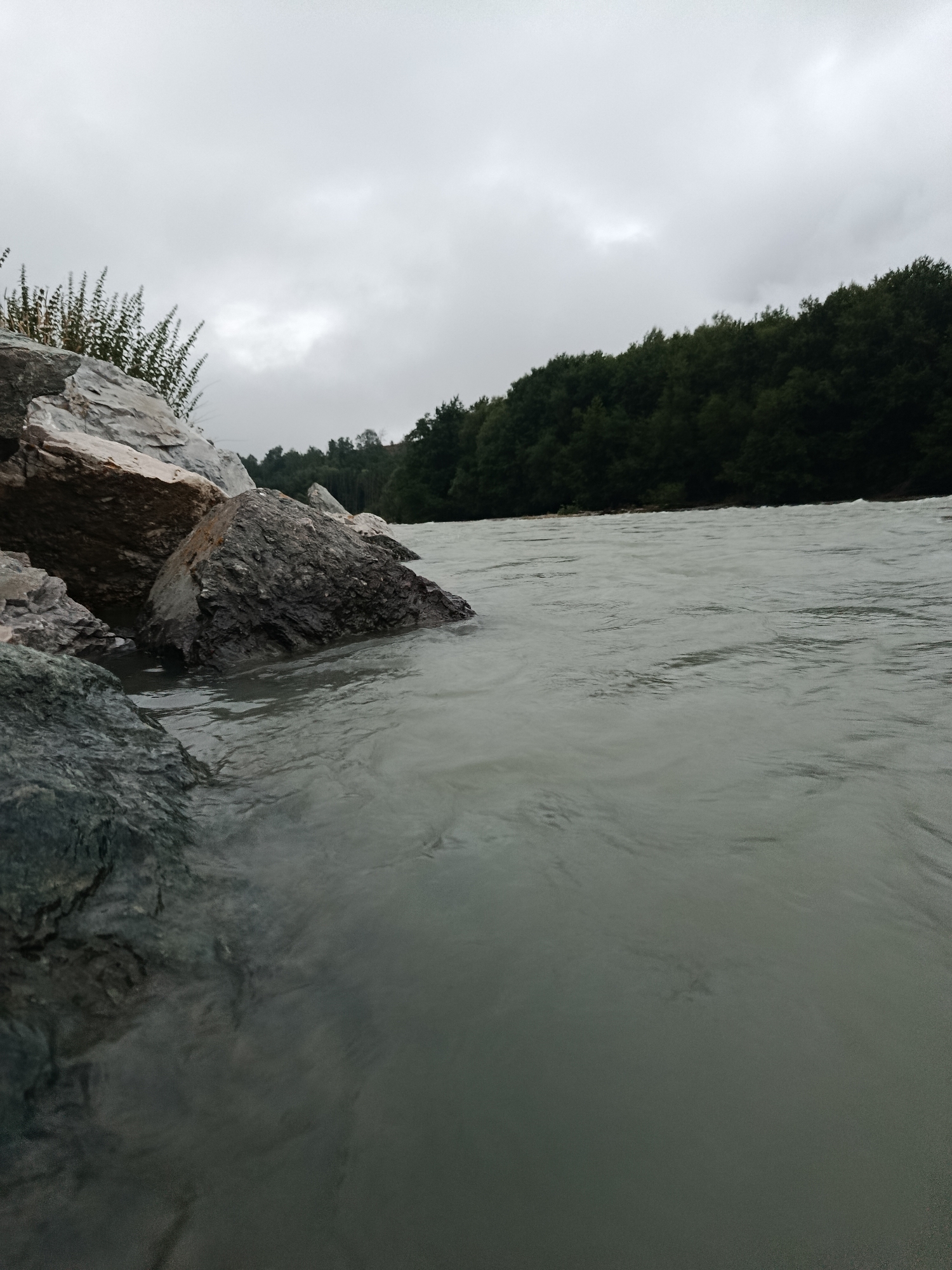 The image depicts a rocky riverbank with a fast-flowing river in the foreground. Large grey rocks are prominent on the left side of the frame, with some greenery growing amongst them. The river is murky and grey, with visible ripples and currents. In the background, a dense line of dark green trees forms the opposite bank of the river, against a heavily overcast, grey sky. The scene is devoid of any people or man-made structures, suggesting a natural, untamed environment. The location is identified as Teberda, Russia, implying this is a view of the Teberda River or a similar natural setting within the town.