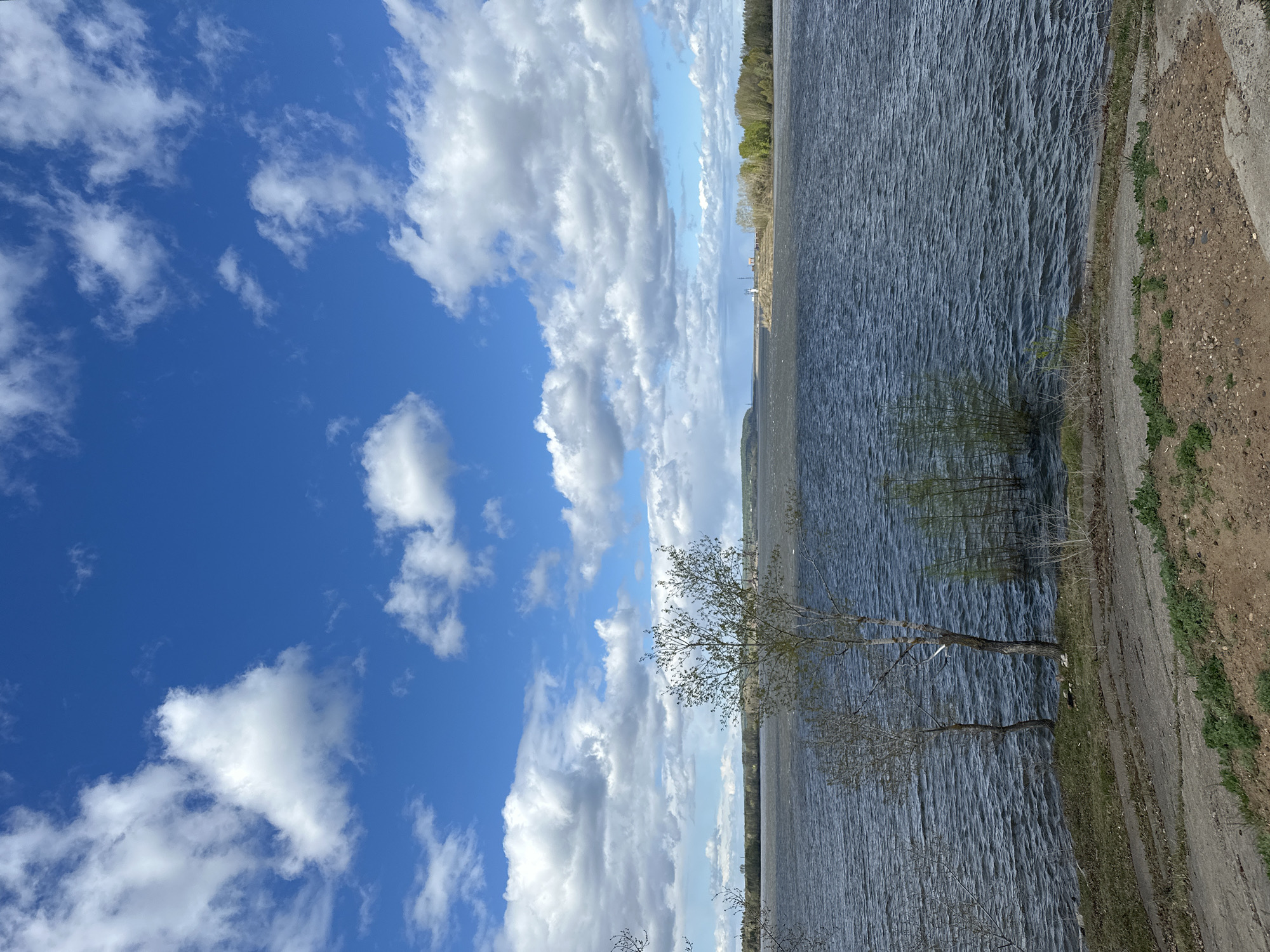 The image shows a body of water adjacent to a shoreline with trees and vegetation. The sky is visible with a blue expanse dotted with white clouds. On the right side of the image, the shoreline has a gravel path and some greenery. A few sparse trees stand near the water's edge. The water itself is a dark color, possibly due to depth or lighting conditions. The image appears to be taken in a natural or semi-natural environment. The location is Chaikovsky, Russia.