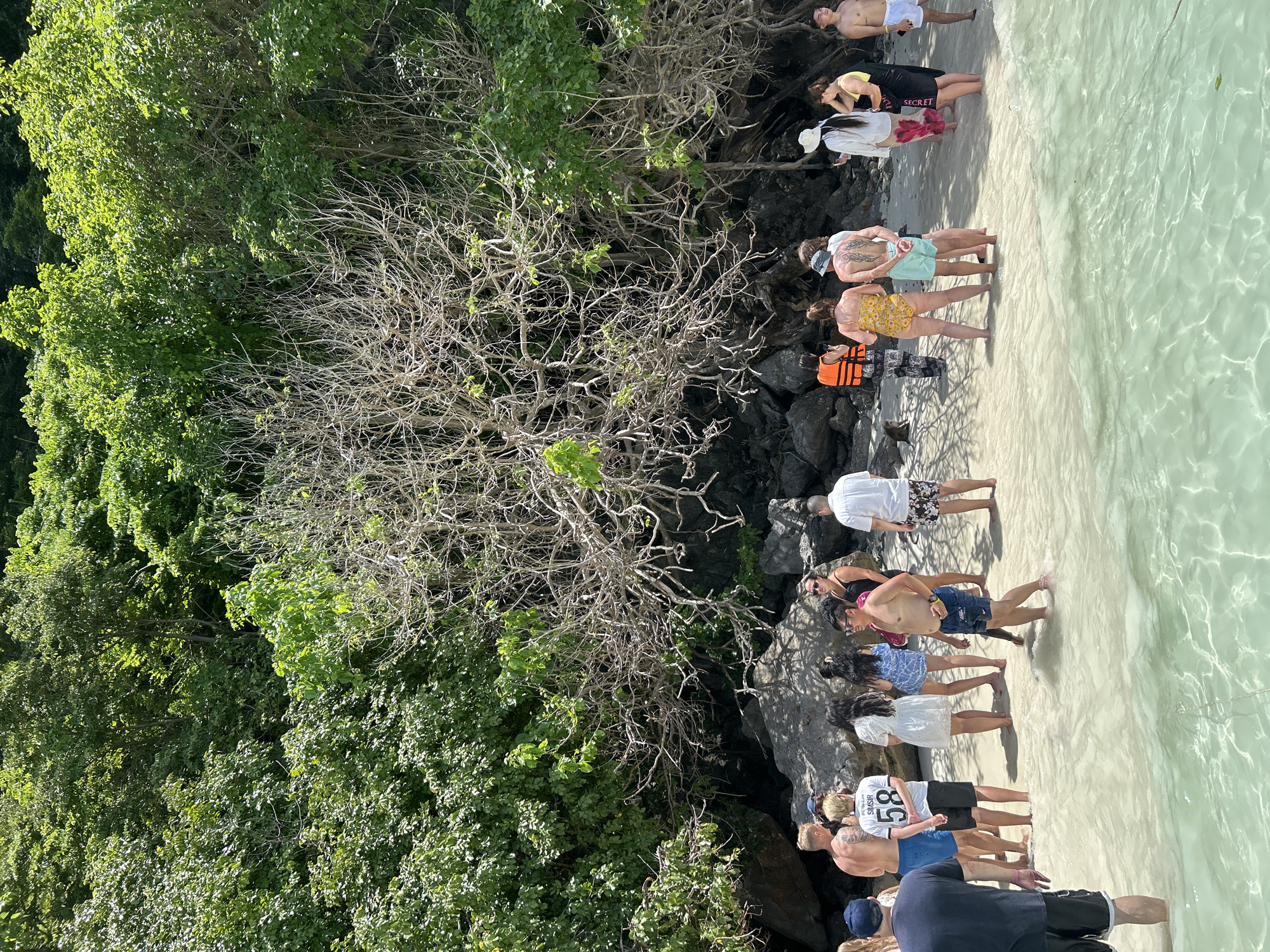 A group of people are standing on a sandy beach in shallow, clear turquoise water near lush green trees and rocks. The scene appears to be in the city of Ko, Thailand. The group consists of men and women, some in swimwear and others in casual clothing. One woman is wearing an orange life vest. The water is calm and translucent, with sunlight reflecting off its surface. The background features dense foliage and rocky outcrops, suggesting a tropical coastal environment.