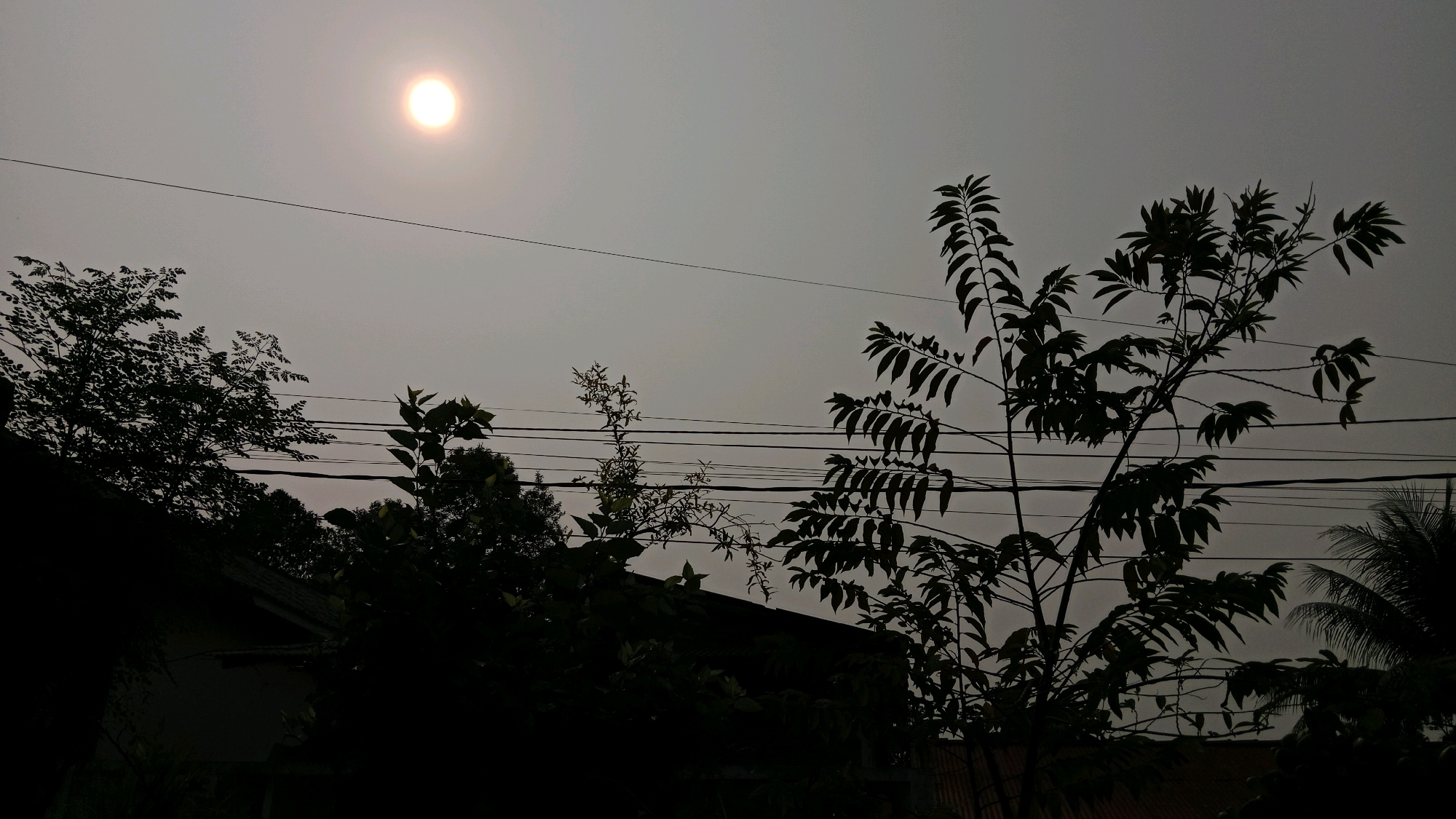 The image depicts a hazy sky with the sun appearing as a diffused, bright circle in the upper left quadrant. Silhouetted against the sky are several trees, some with intricate leaf structures, and a dark roofline suggesting residential structures. Multiple power lines traverse the frame horizontally, casting faint shadows. The overall atmosphere is subdued, with muted colors and low contrast, indicative of a foggy or smoggy condition. The scene is set in Tanjung Pinang, Indonesia.