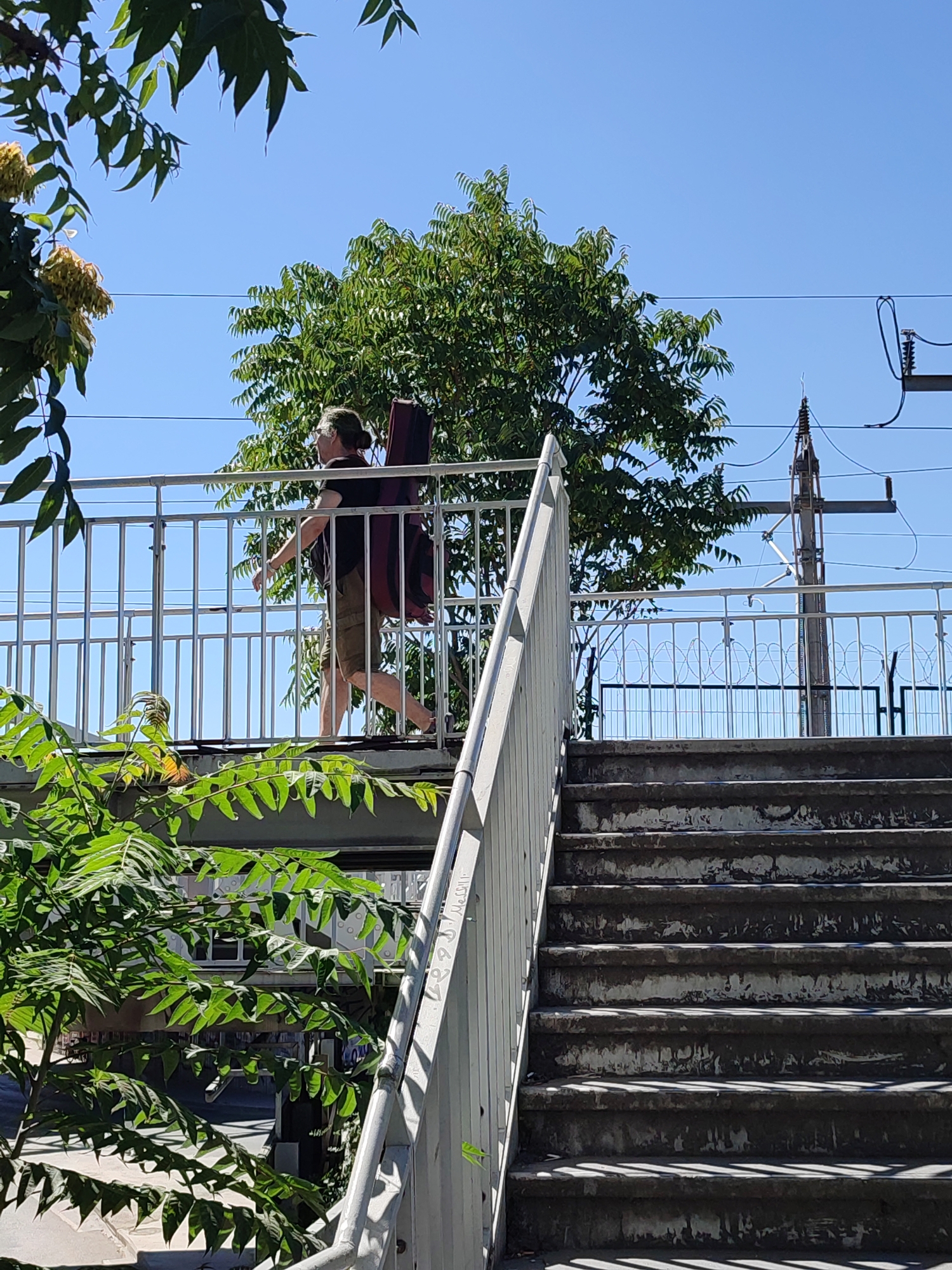 A person with medium-length hair pulled back into a bun, wearing glasses, a dark t-shirt, and olive-green cargo shorts, walks across a pedestrian overpass. The person is carrying a large, dark red case, likely for a musical instrument, on their back. The overpass has a silver metal railing and is situated over a set of concrete stairs. Lush green foliage frames the bottom and left side of the image. In the background, a large tree stands prominently against a clear blue sky, with utility poles and wires visible to the right. The overpass appears to be located in Kadıköy, Turkey, near a railway or transportation hub.