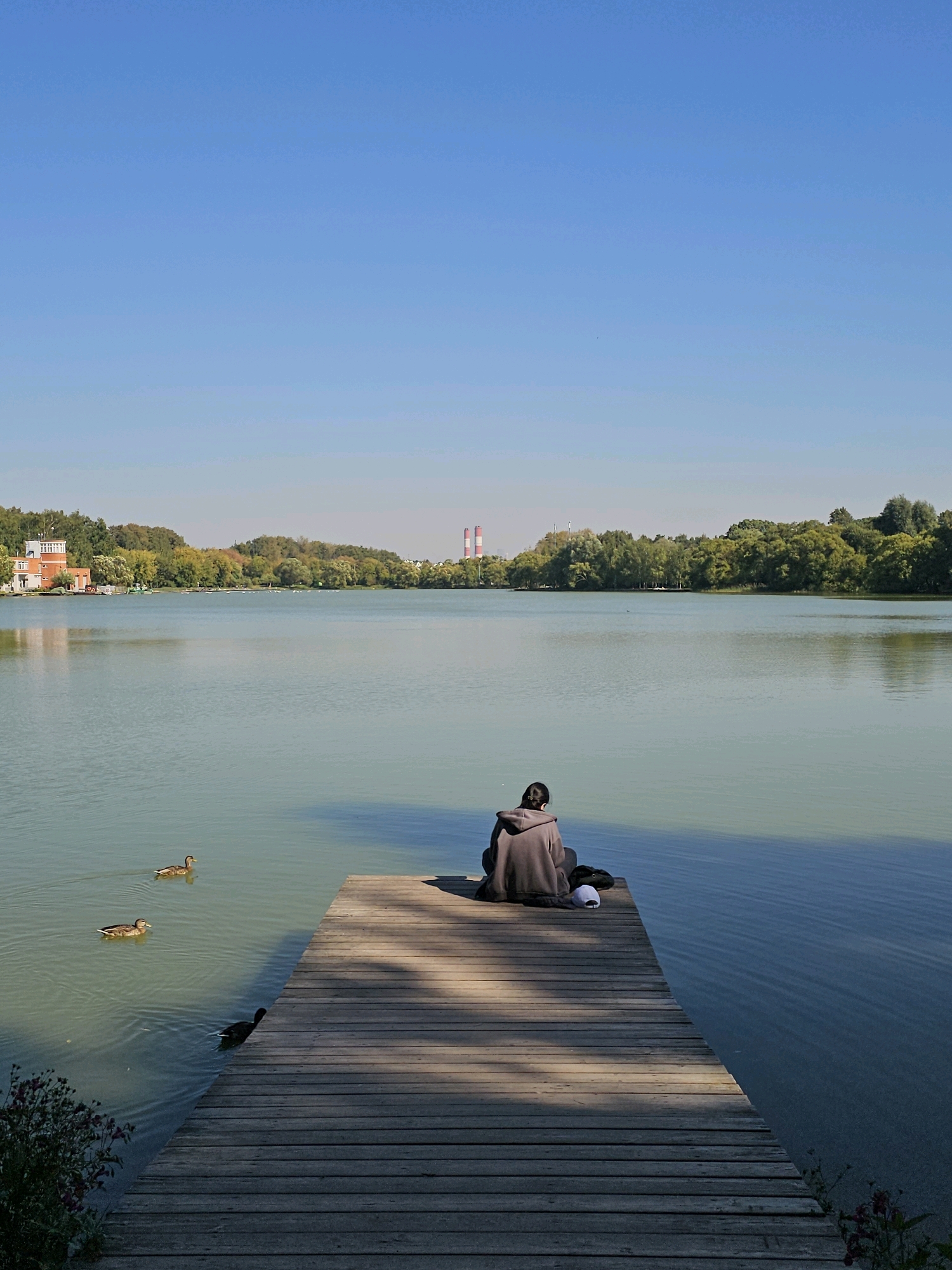 The image shows a person sitting on a wooden pier facing a tranquil lake on a clear day. The person is wearing a dark hooded sweatshirt. Several ducks are swimming in the water. In the background, there is a treeline with buildings and industrial smokestacks visible on the horizon. The location is likely in Moscow, Russia, given the presence of such industrial elements near a recreational area. The scene evokes a sense of peaceful contemplation amidst an urban landscape.